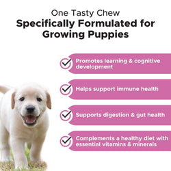 Pet Honesty - Multivitamin Puppy (Bacon Flavor)