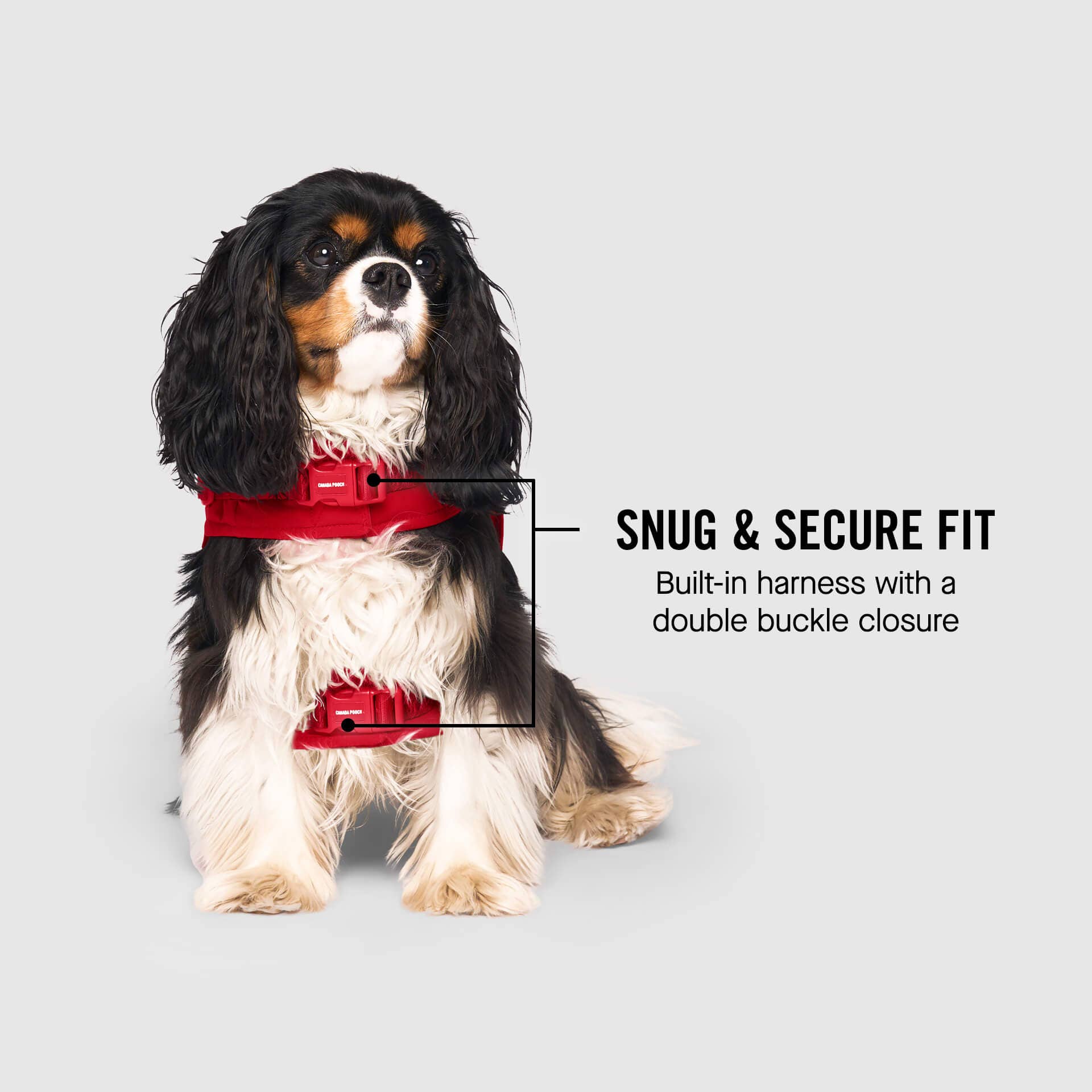 Canada Pooch - Harness Puffer- Dog Coat: Forest Green / 10