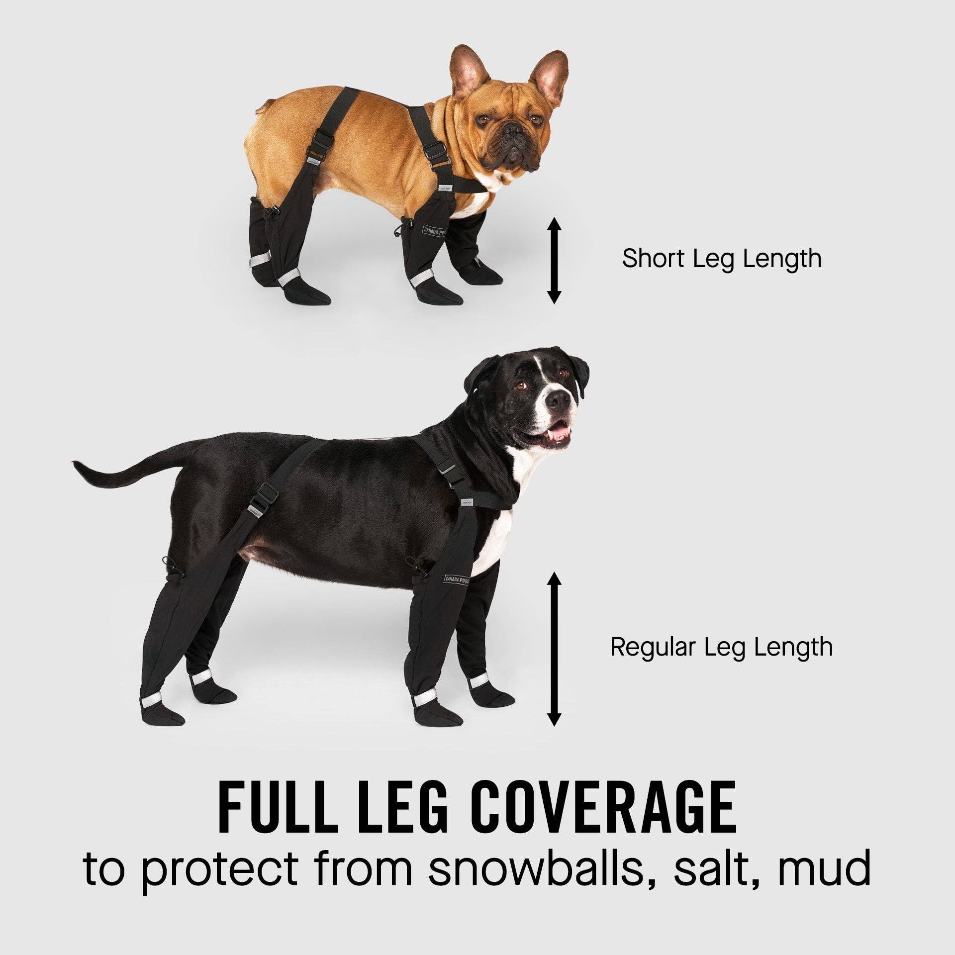 Canada Pooch - Suspender Boots- Dog Boots: Black / 3