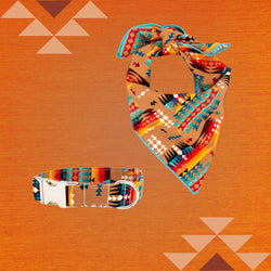The Oxford Dog - Southwest Desert Dog Collar handmade by The Oxford Dog: Black Plastic / LARGE