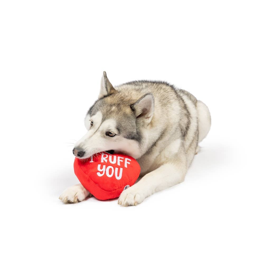 Huxley & Kent - First Lick Heart Dog Toy (Double-Sided): Small