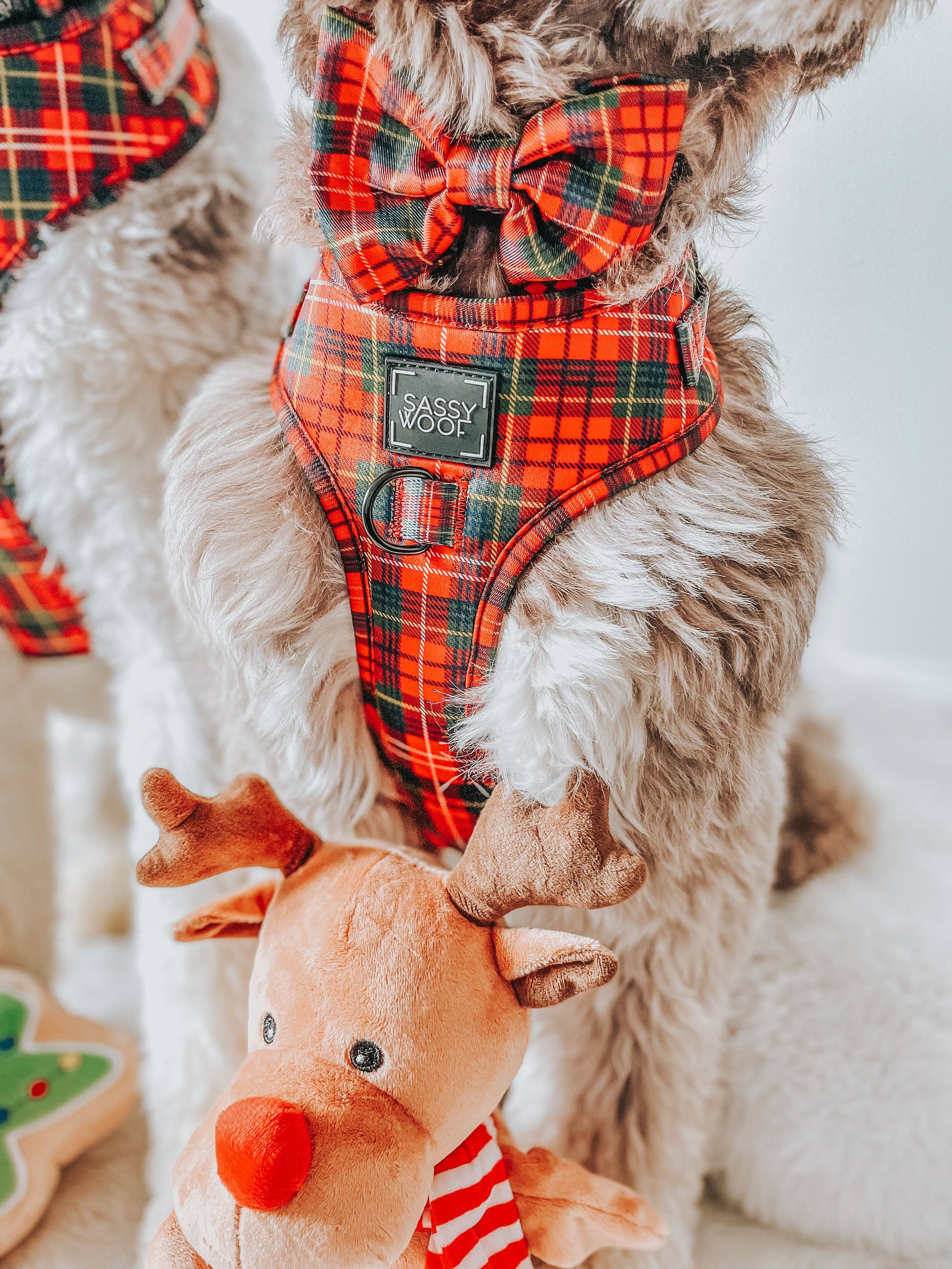 SASSY WOOF - Dog Sailor Bow - Deck the Paws (Christmas)