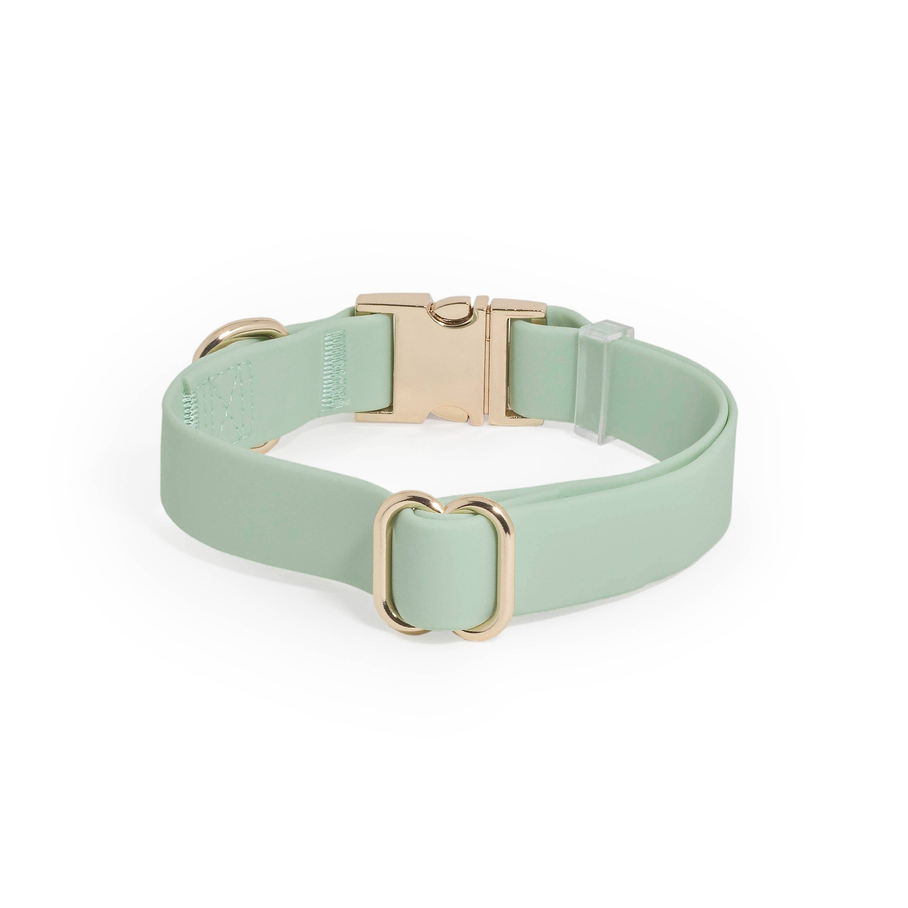 SUNNY TAILS - Pistachio Green Waterproof Dog Collar: SMALL
