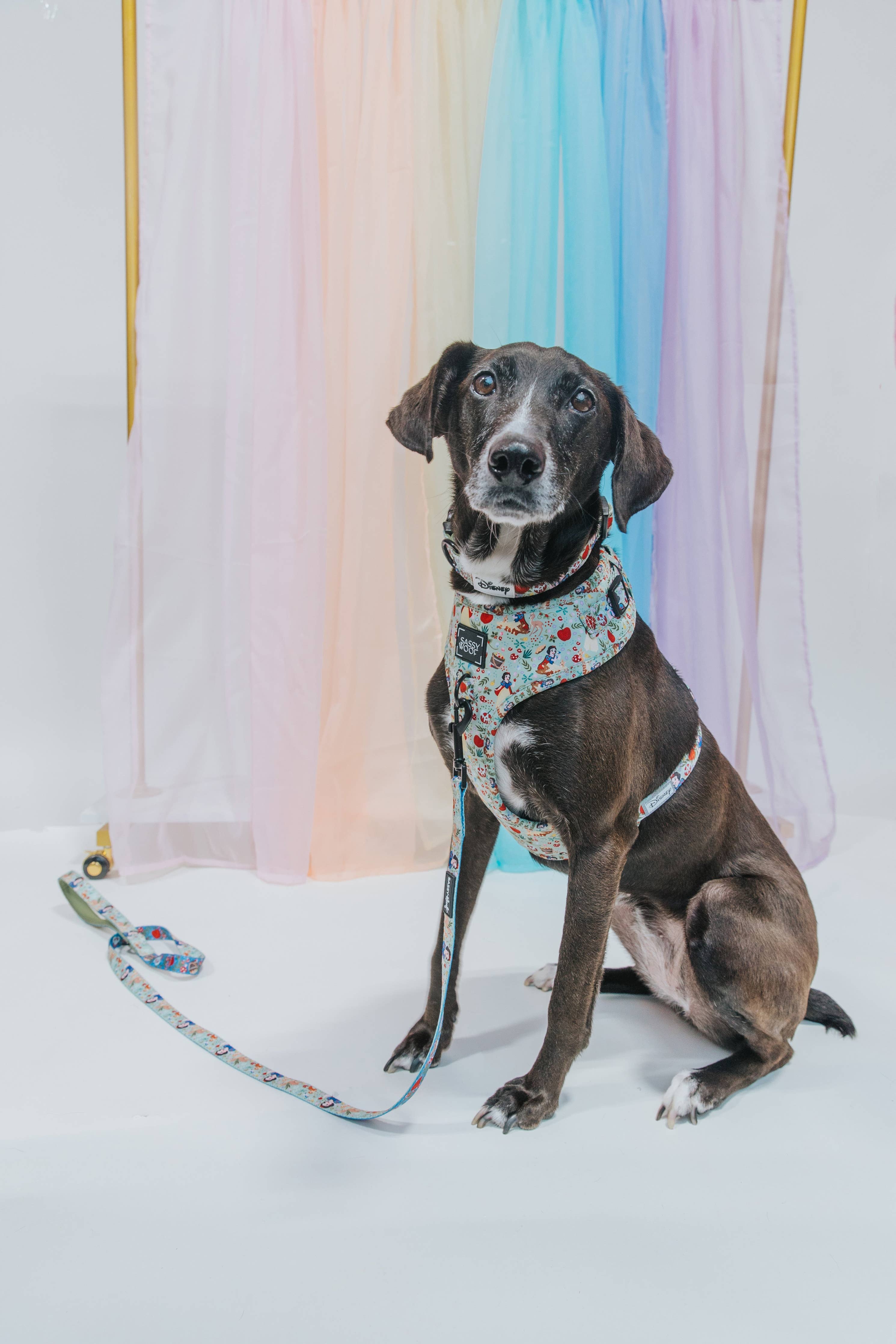 SASSY WOOF - Dog Adjustable Harness - Disney's Snow White: XXSmall