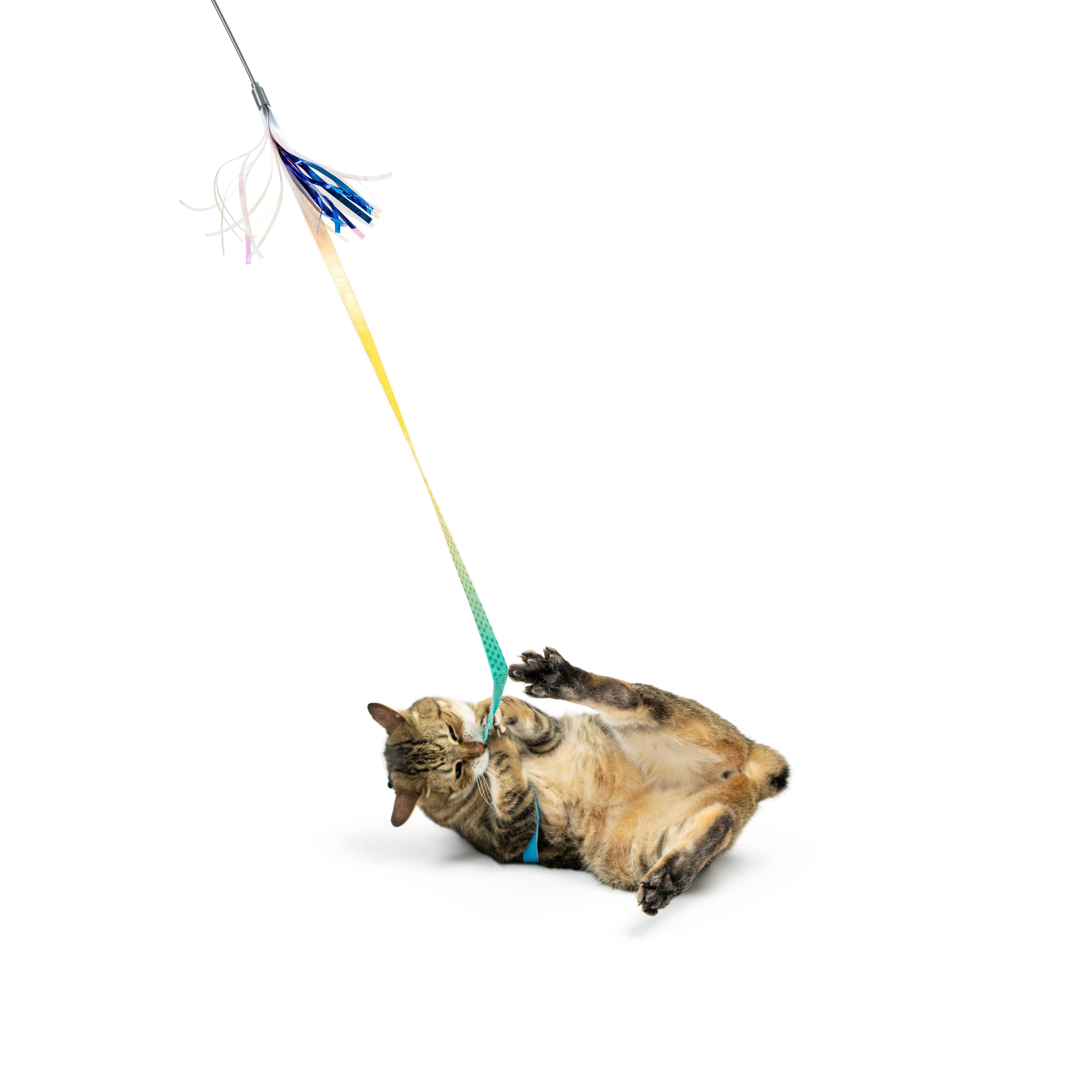 Huxley & Kent - Dance & Lure Aqua Cat Wand: One Size