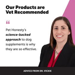 Pet Honesty - Senior Multivitamin Chews (90 Ct.)