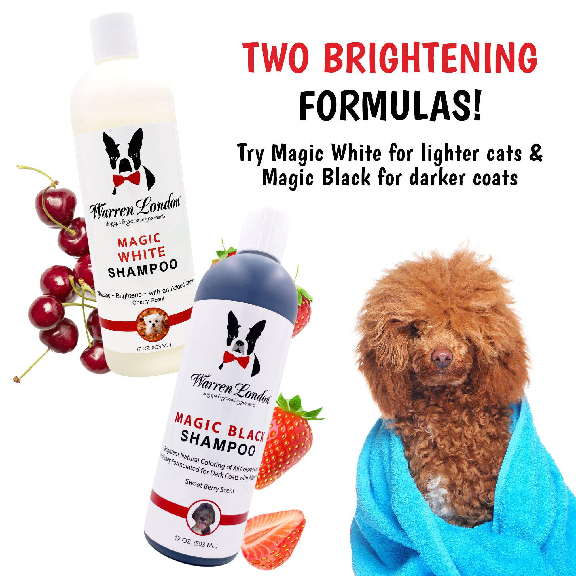 Magic Black Brightening Dog Shampoo: 17oz
