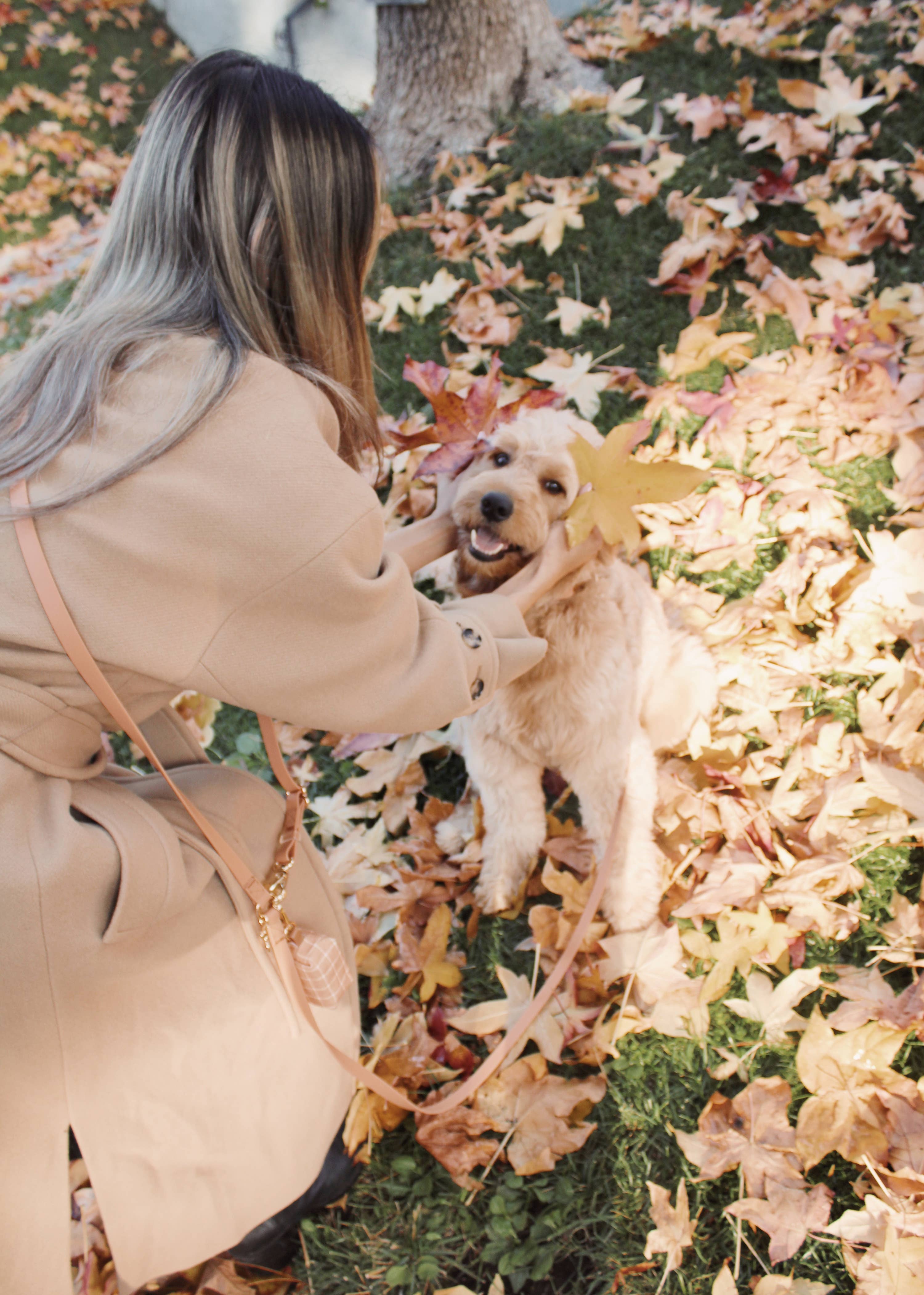 SUNNY TAILS - Chai Brown 4-in-1 Convertible Hands Free Cloud Dog Leash: Standard
