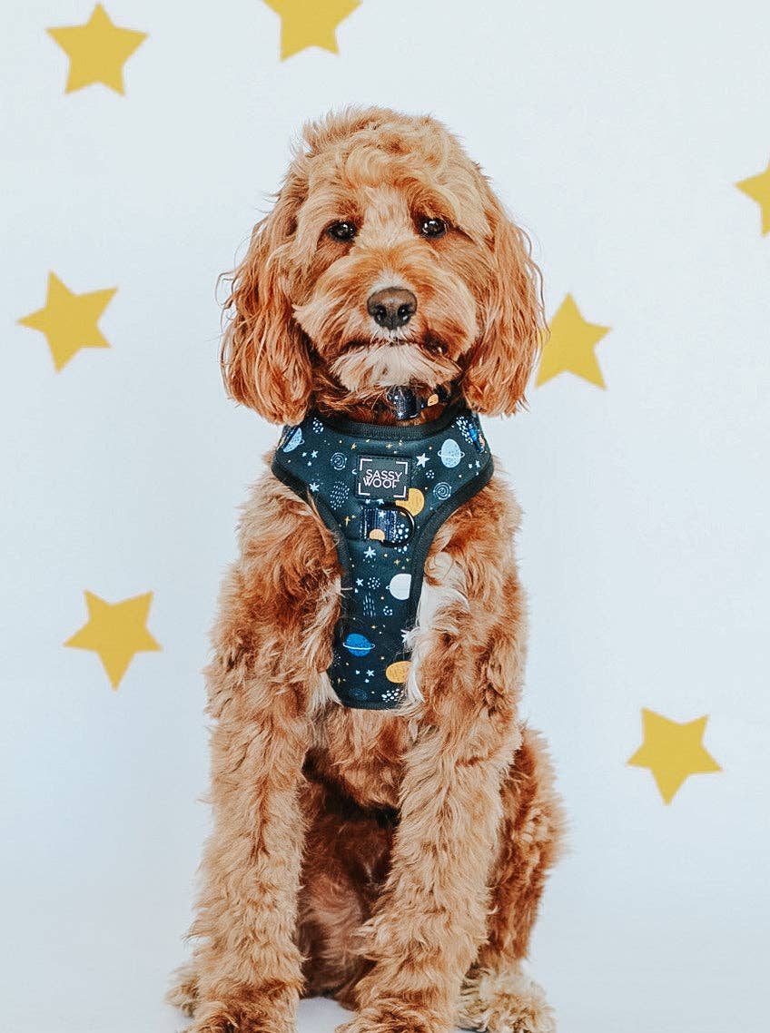 SASSY WOOF - Dog Adjustable Harness - To the Stars and Beyond: Large