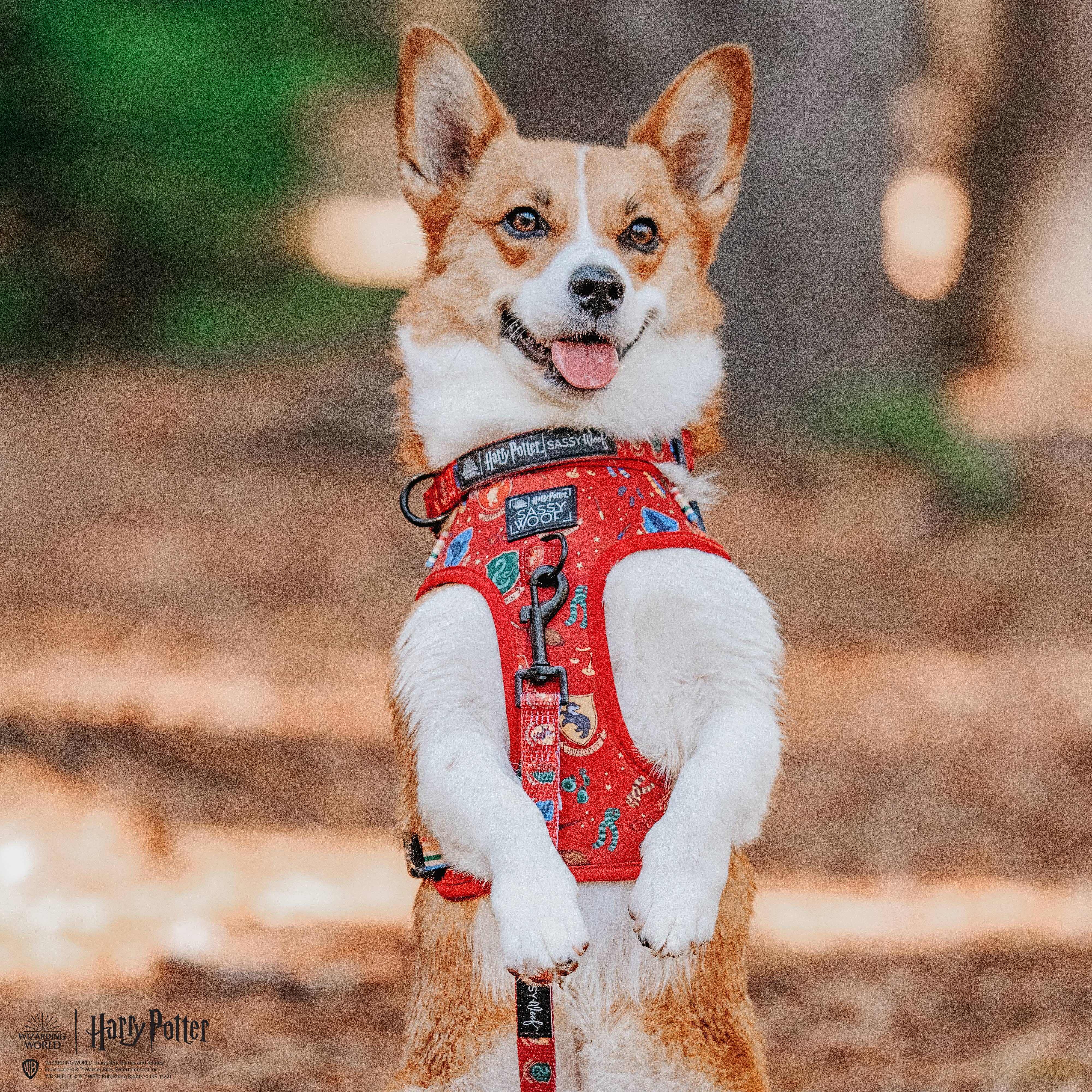 SASSY WOOF - Dog Adjustable Harness - Harry Potter: S