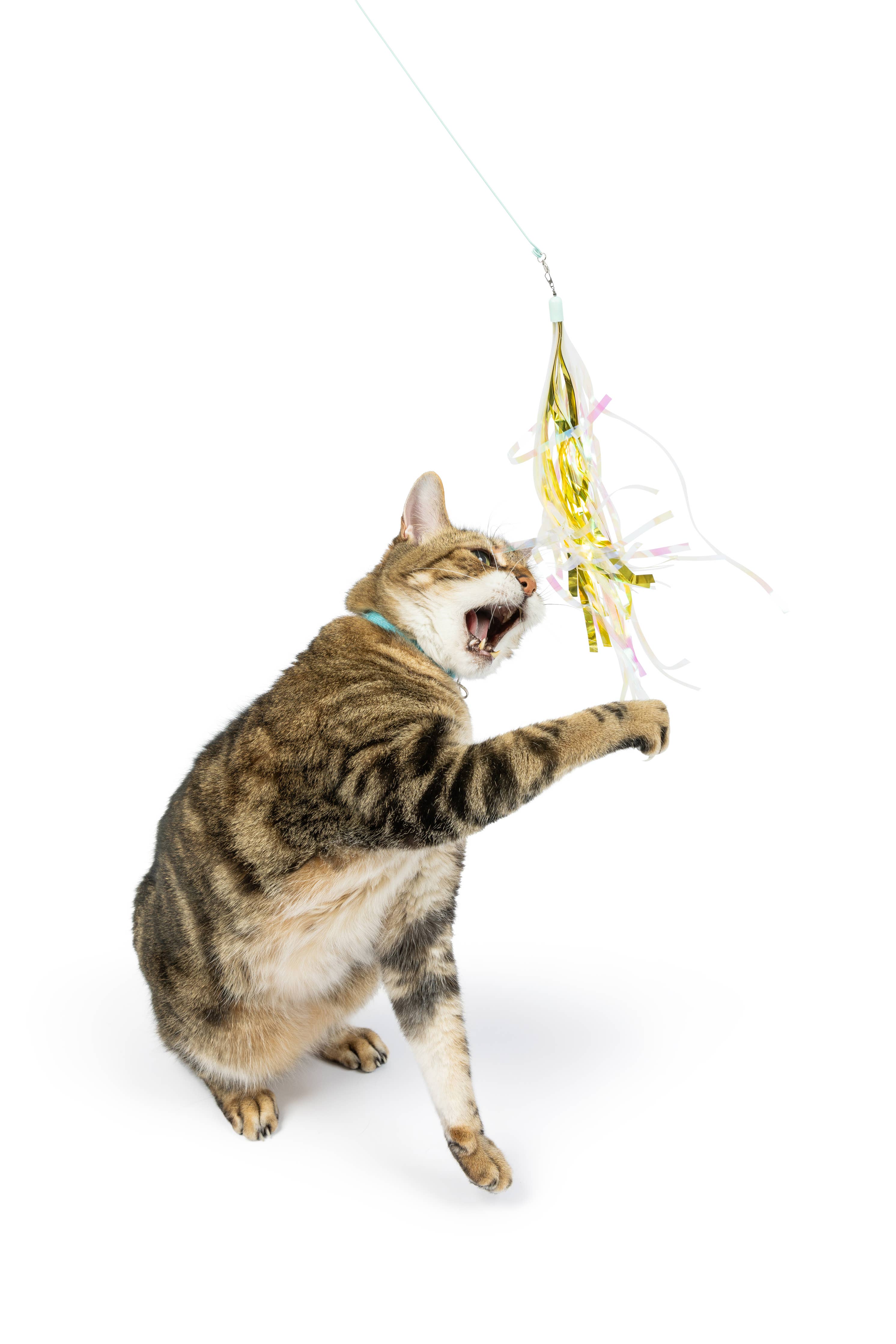 Huxley & Kent - Buzz Bee Streamers 2pk Refill Cat Toy: One Size
