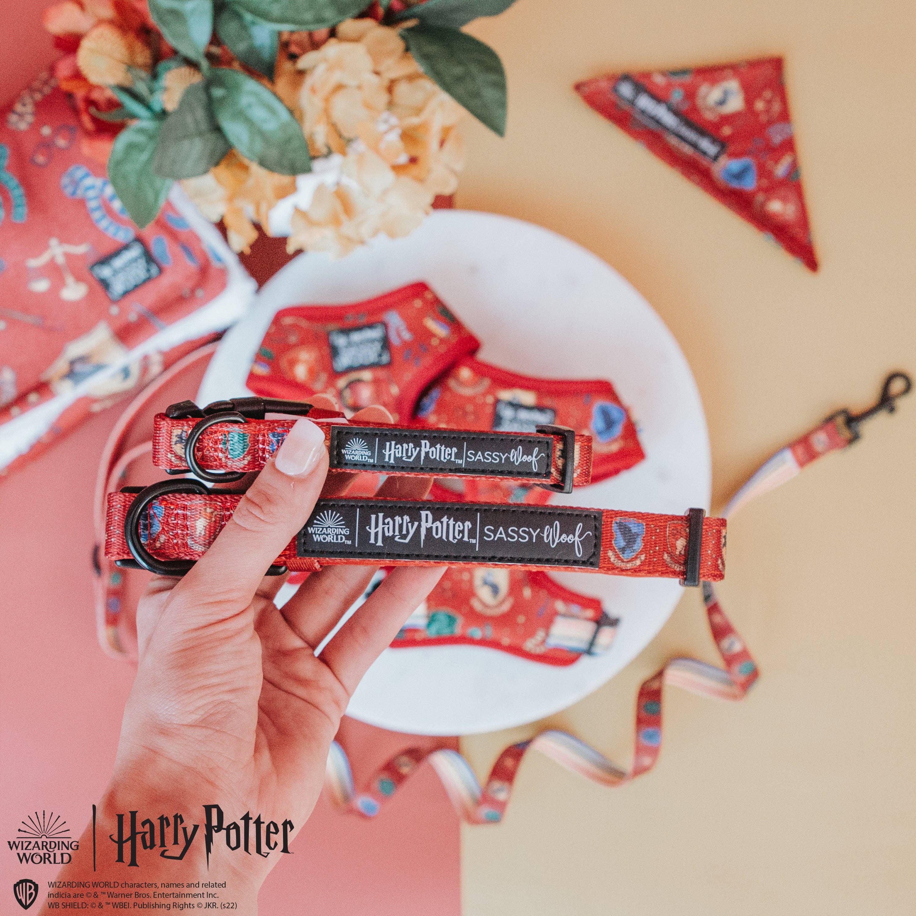SASSY WOOF - Dog Collar - Harry Potter™: Small