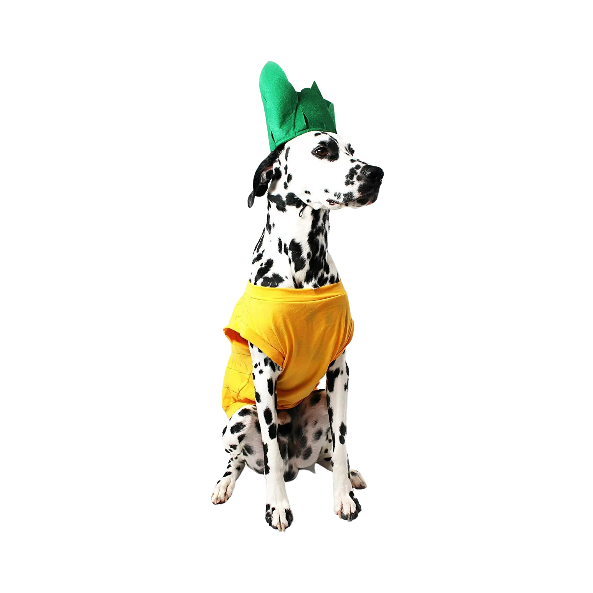 Midlee Designs - Midlee Pineapple Dog Costume: Large