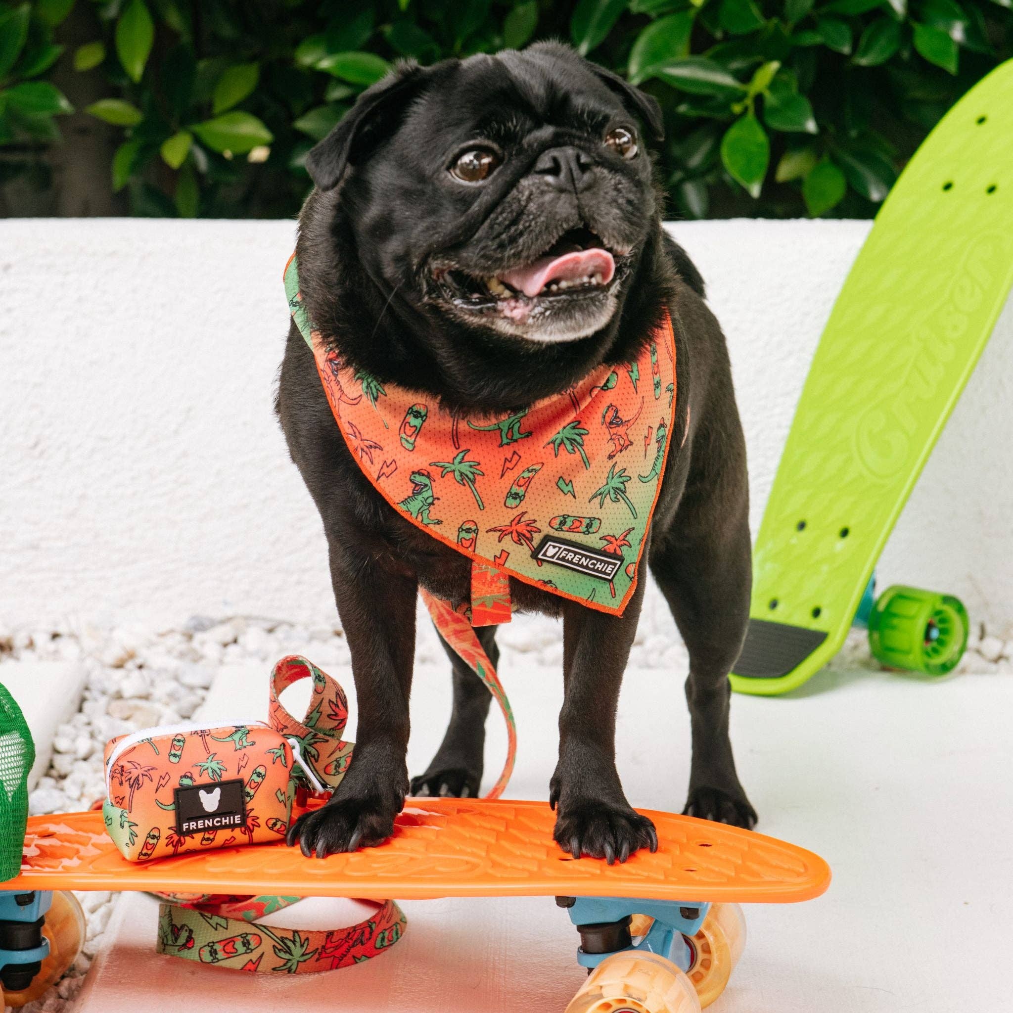 Frenchie - Frenchie Cooling Bandana - Retro Dino: OS