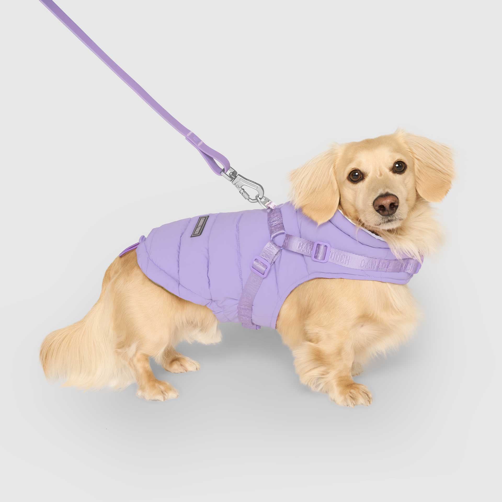 Canada Pooch - Harness Puffer- Dog Coat: Black / 8