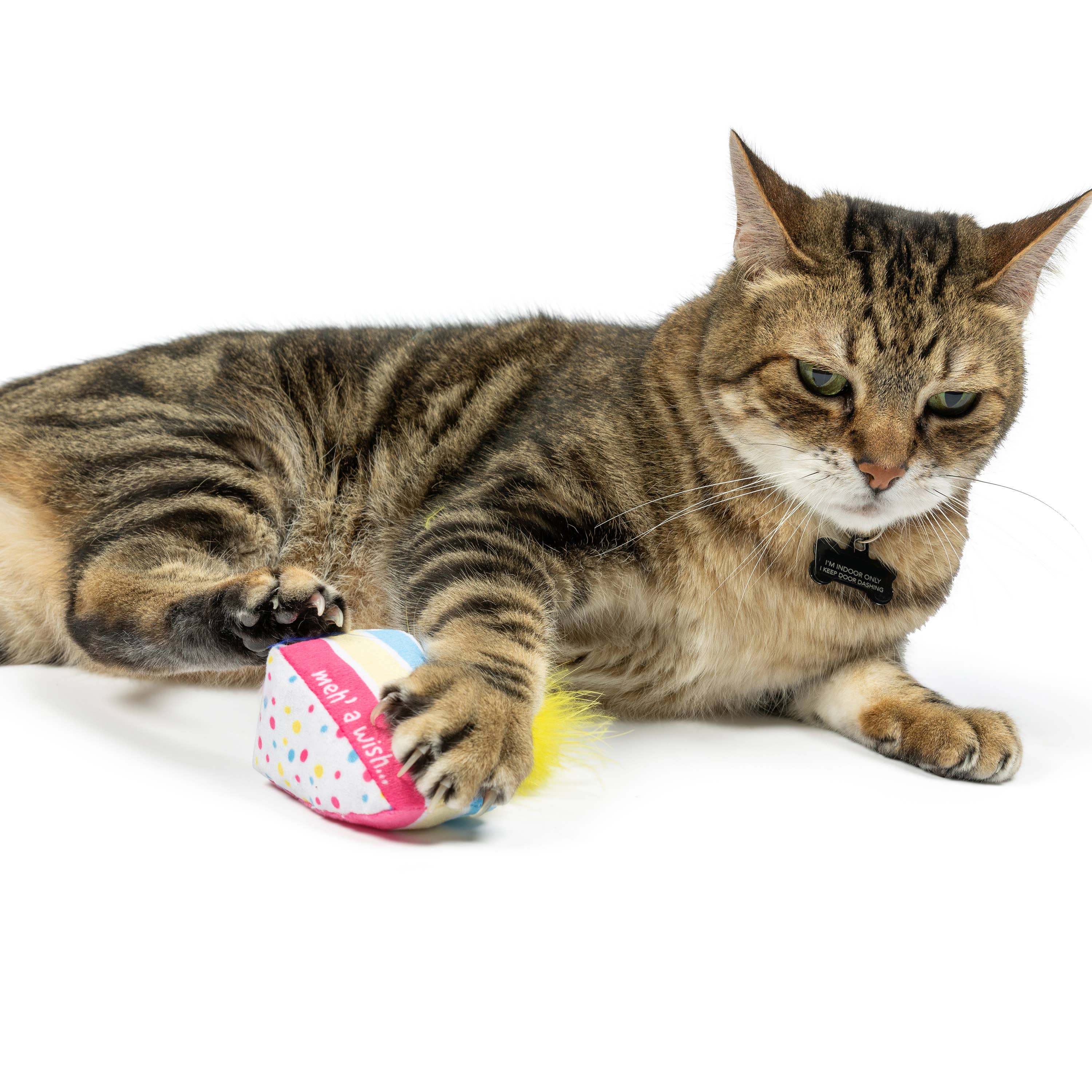 Huxley & Kent - Meh' a Wish Cake Cat Toy: One Size
