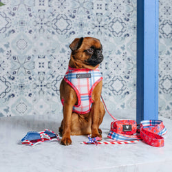 Frenchie - Frenchie Duo Reversible Harness - Red, White, and Paisley: M