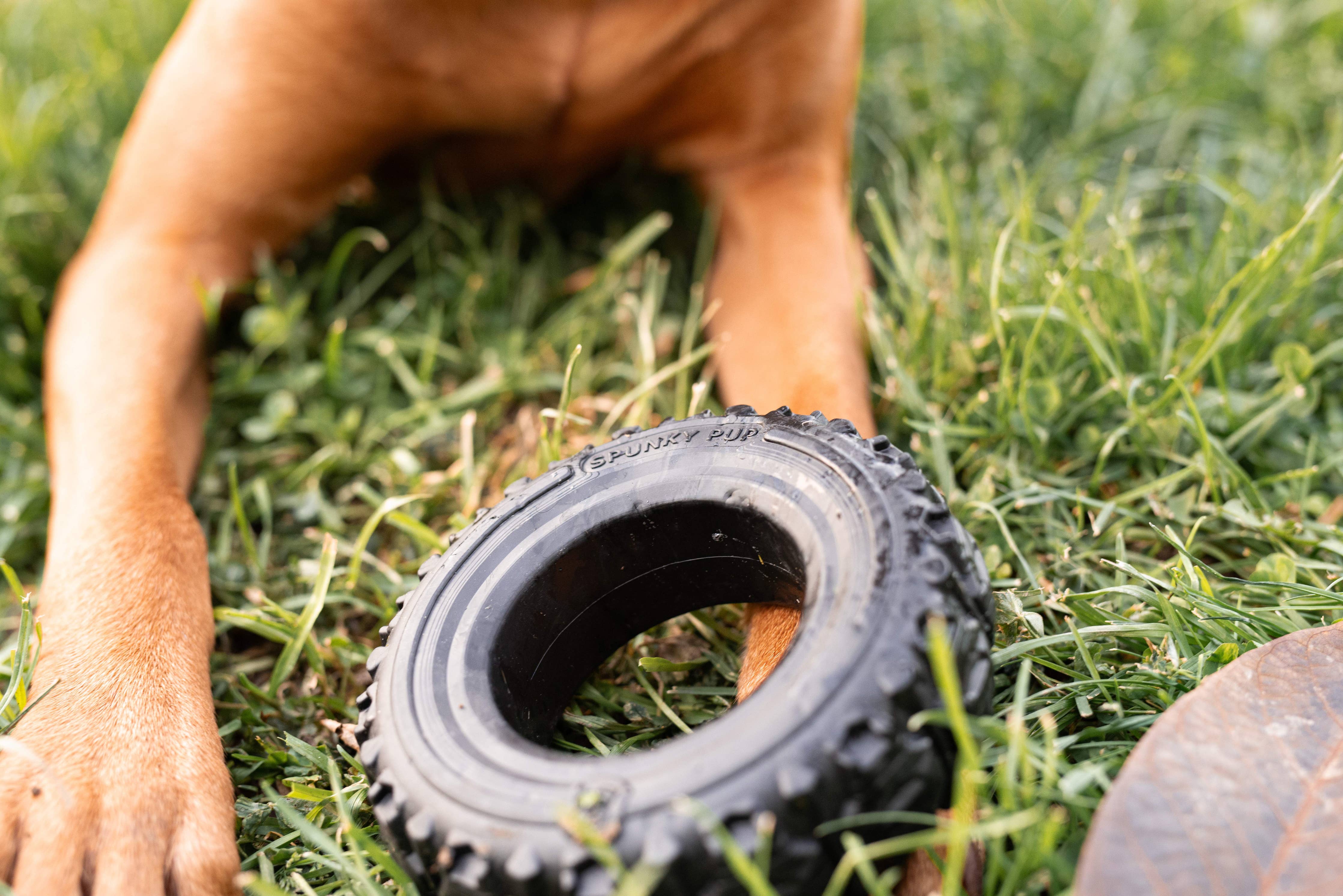 Spunky Pup - The Tire - Reclaimed Rubber Toy - MADE IN THE USA: Large