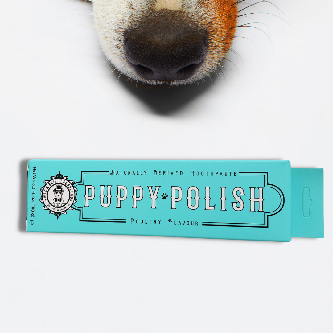 Puppy Polish Toothpaste