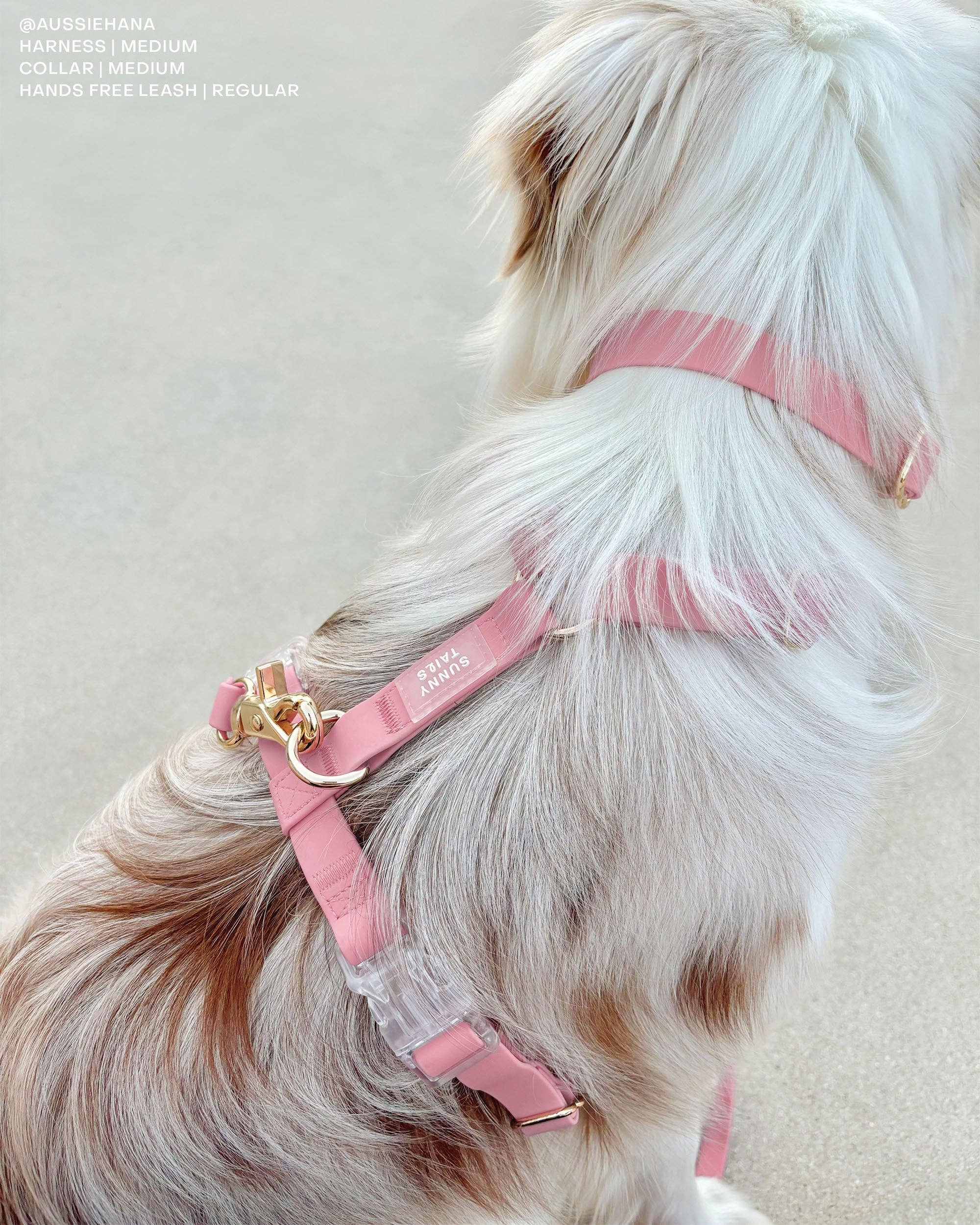 SUNNY TAILS - Perfect Pink Waterproof Dog Collar: MEDIUM