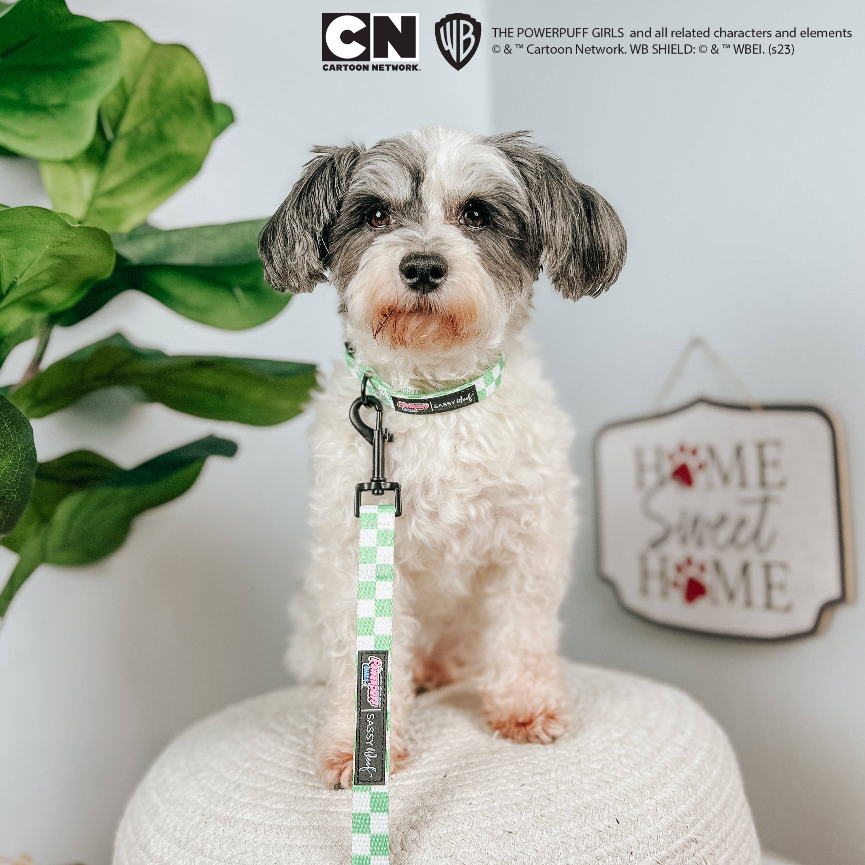 SASSY WOOF - Dog Leash - The Powerpuff Girls™ (Green)