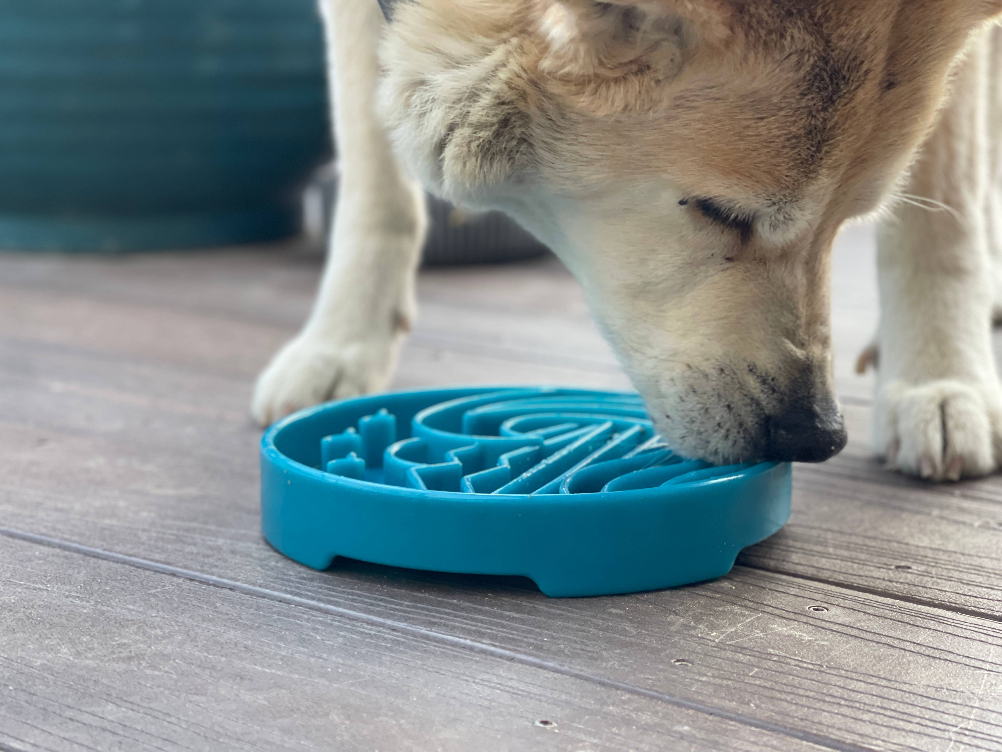 SodaPup Dog Toys - Baja Design eTray Shallow Slow Feeder Bowl for Dogs