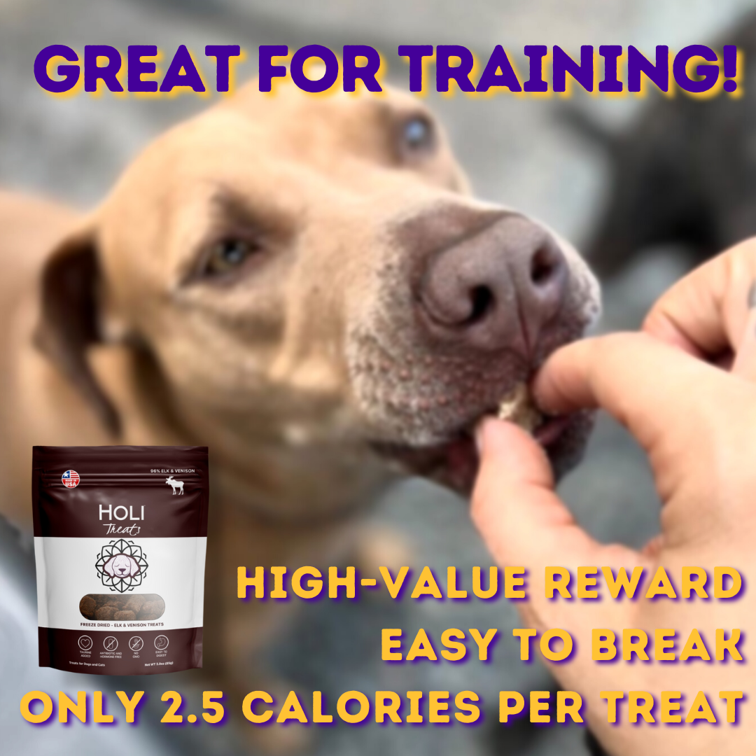 HOLI - Free Range Elk & Venison Freeze Dried Dog Treats