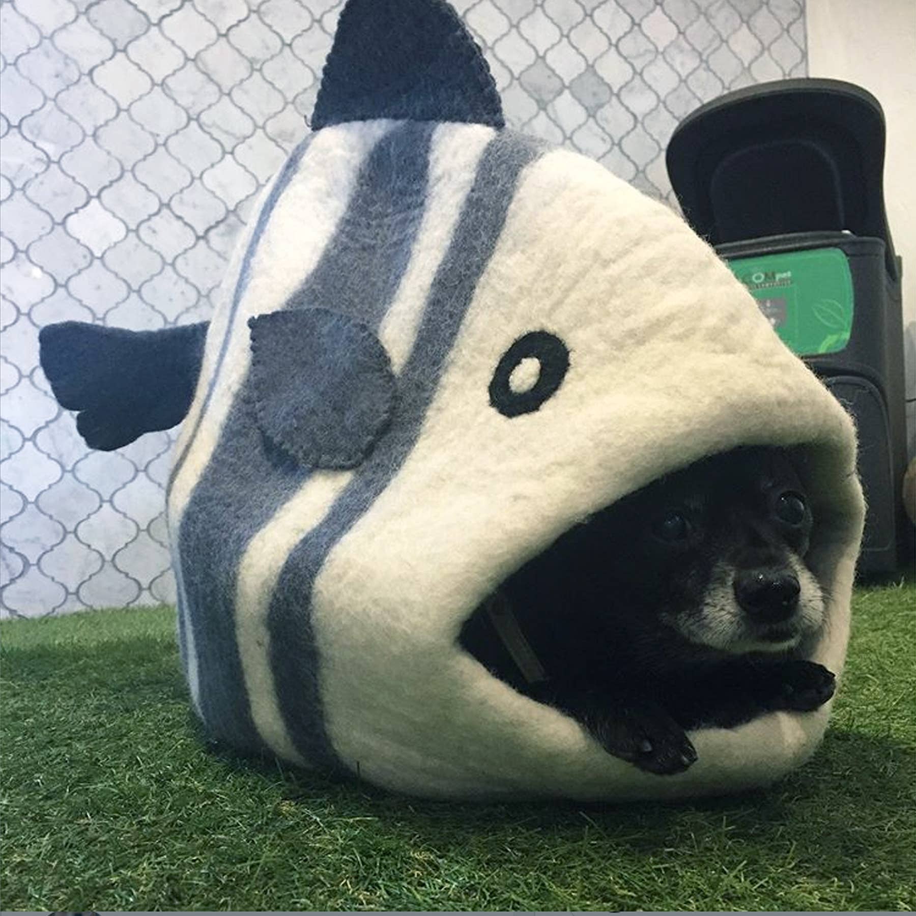 Fish Wool Pet Cave: White/ Grey