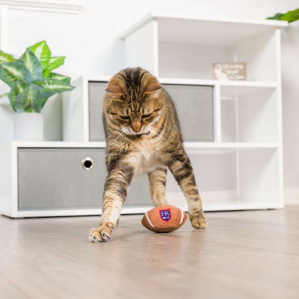 Huxley & Kent - HK Football Cat Toy: One Size