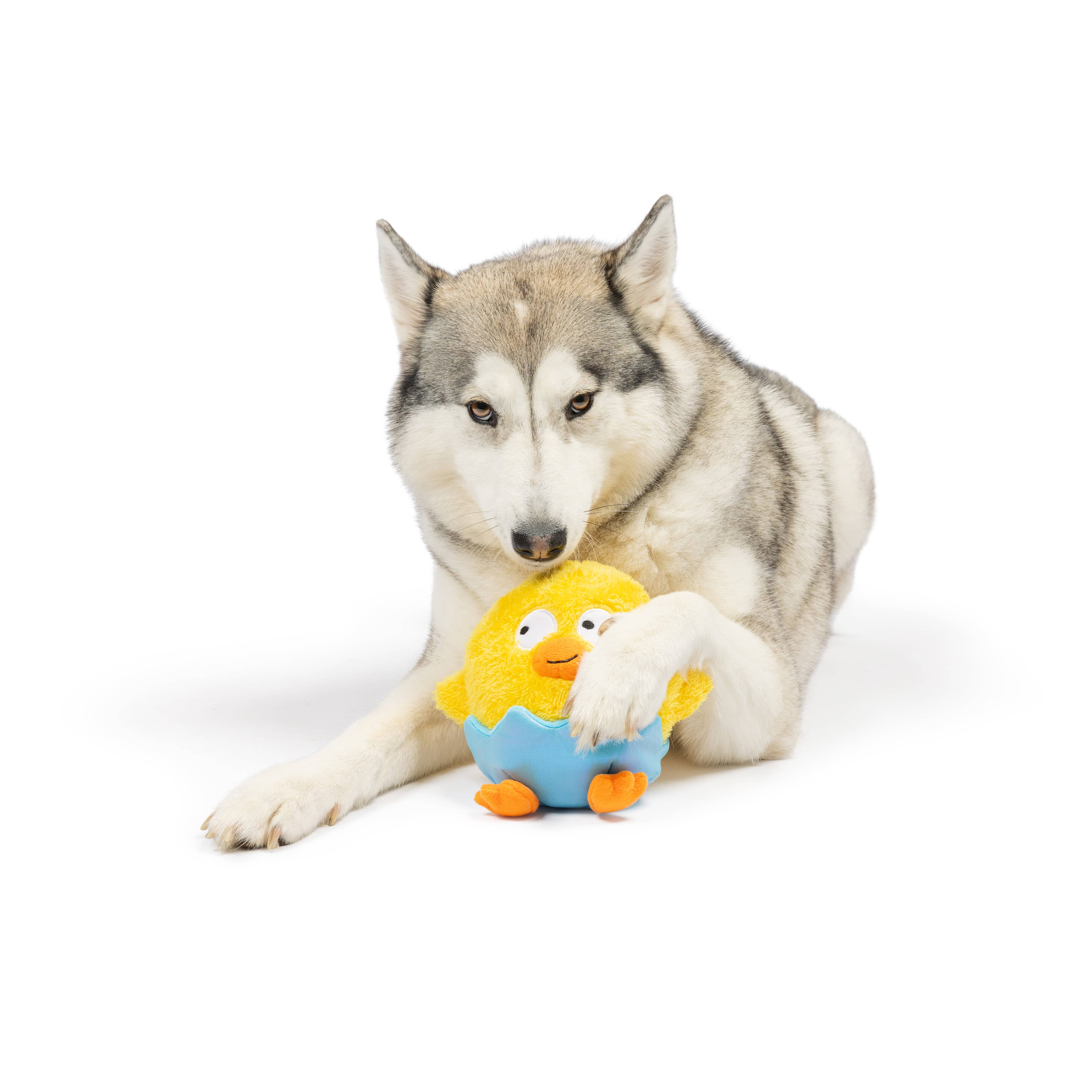 Huxley & Kent - Chick-A-Dee Dog Toy: Large