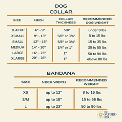 The Oxford Dog - Rosa Hunter Dog Collar: Gold / XLarge (1")
