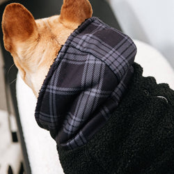 Frenchie - Frenchie Dog Hoodie - Black Plaid: L