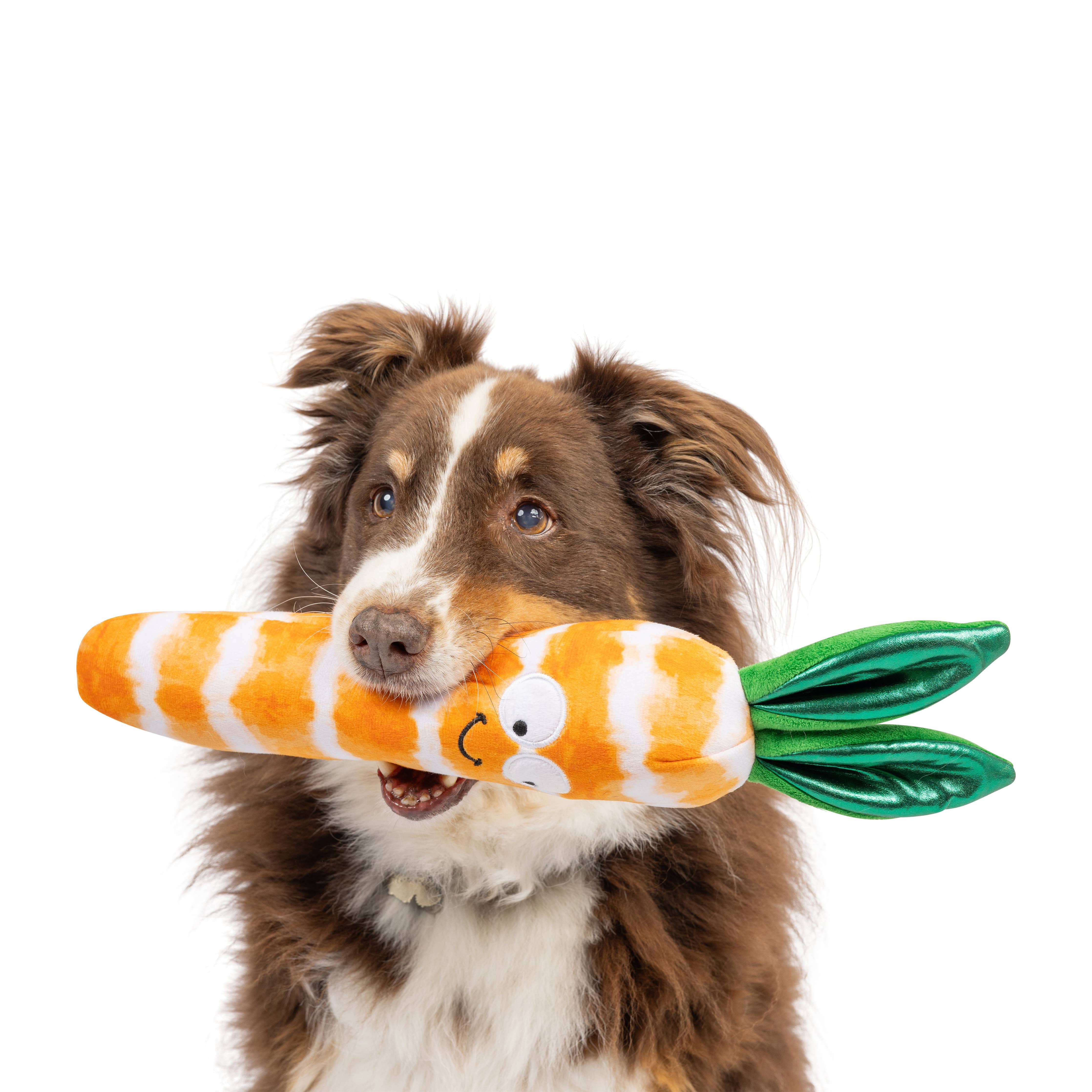 Huxley & Kent - Fetchies® Sweet Carrot Dog Toy: Large