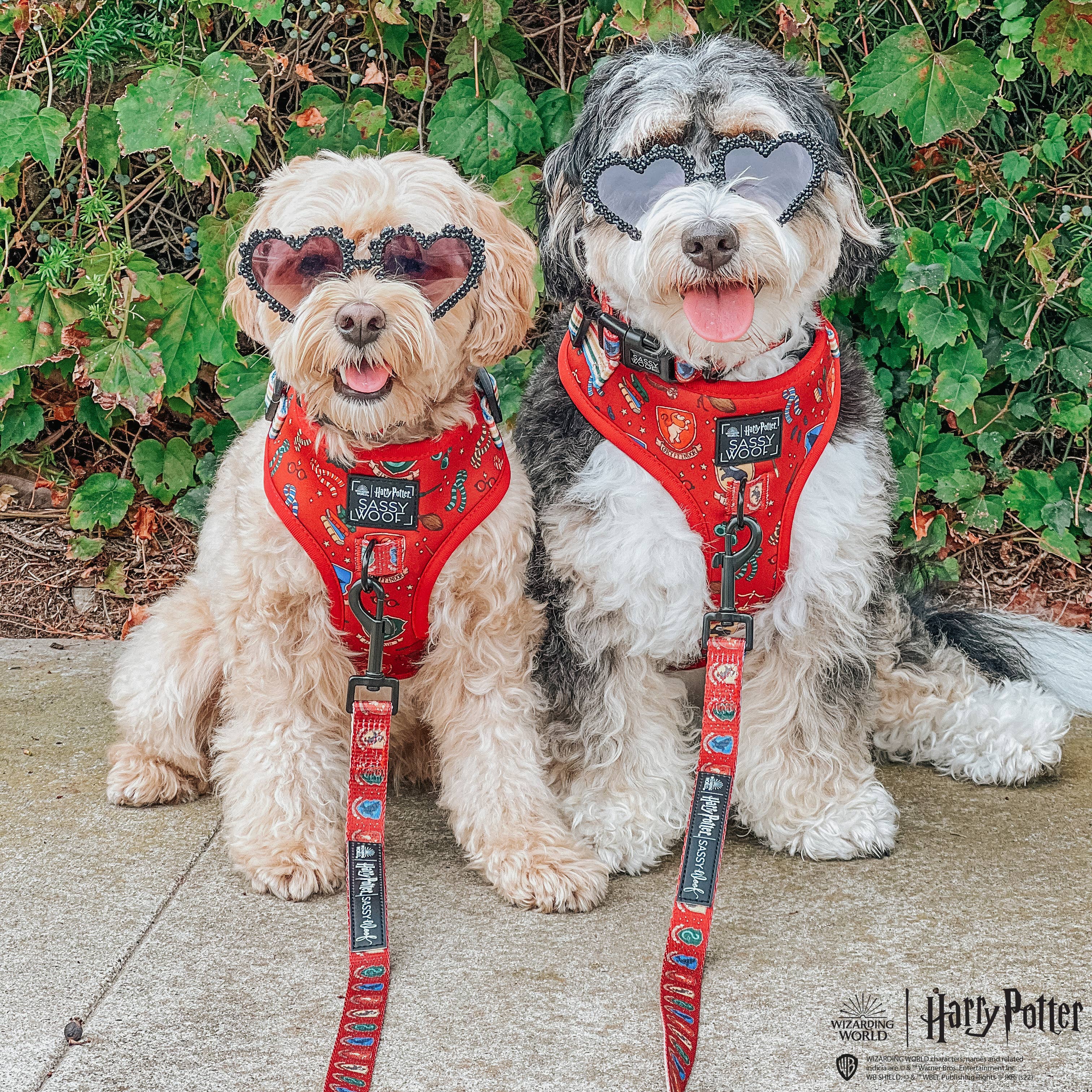 SASSY WOOF - Dog Adjustable Harness - Harry Potter: XL