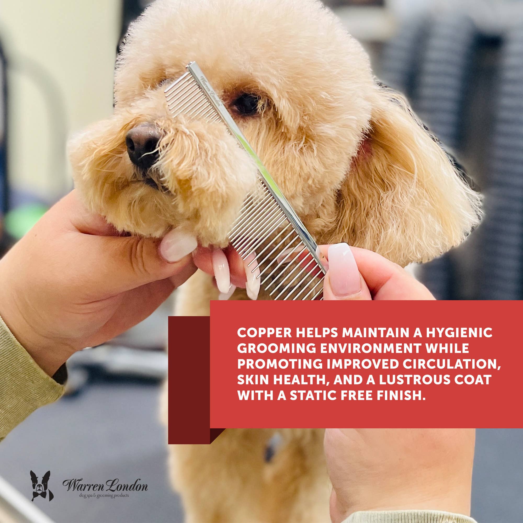 Warren London Grooming Comb - Available in 3 Different Types: Groomers Everyday Comb