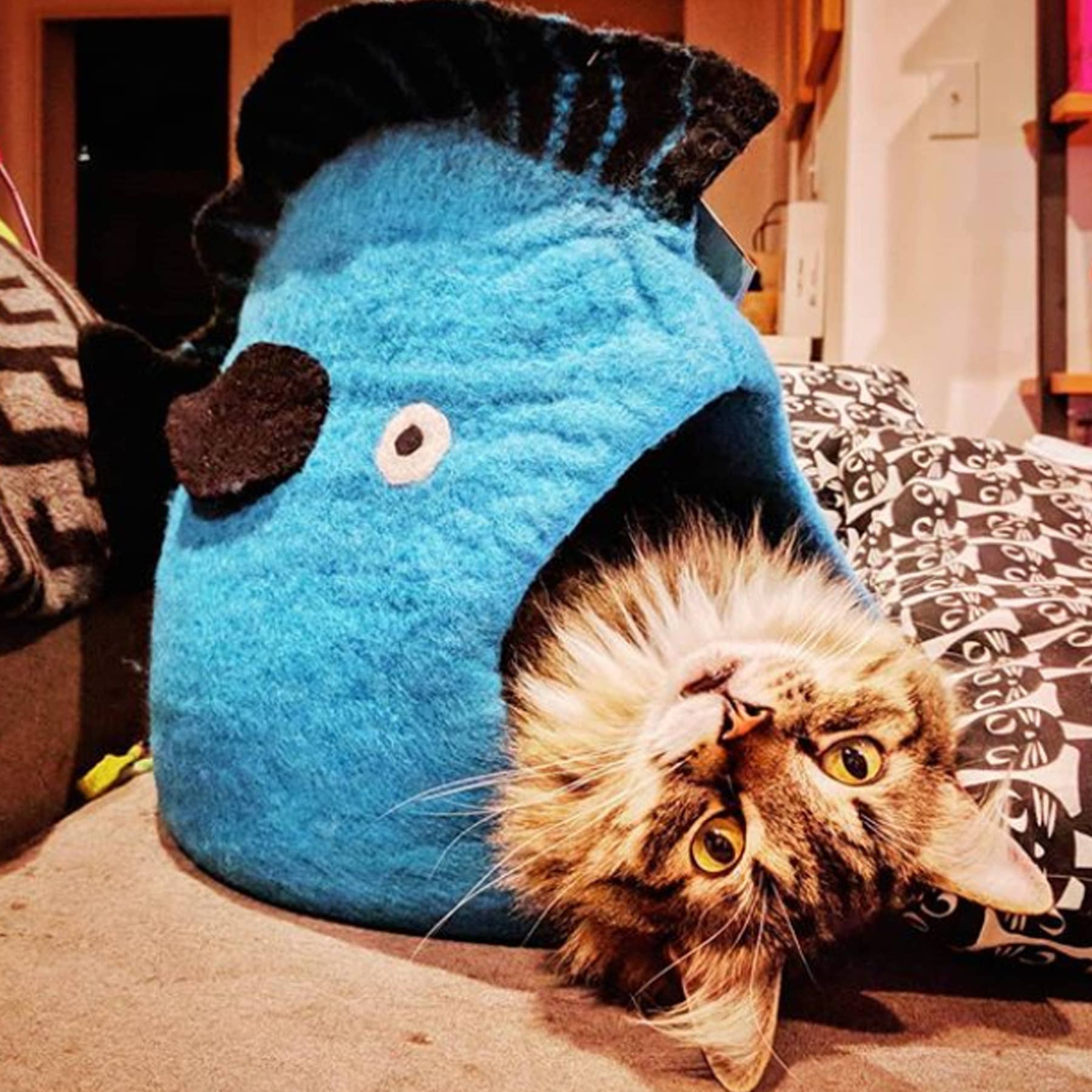 Fish Wool Pet Cave: White/ Grey