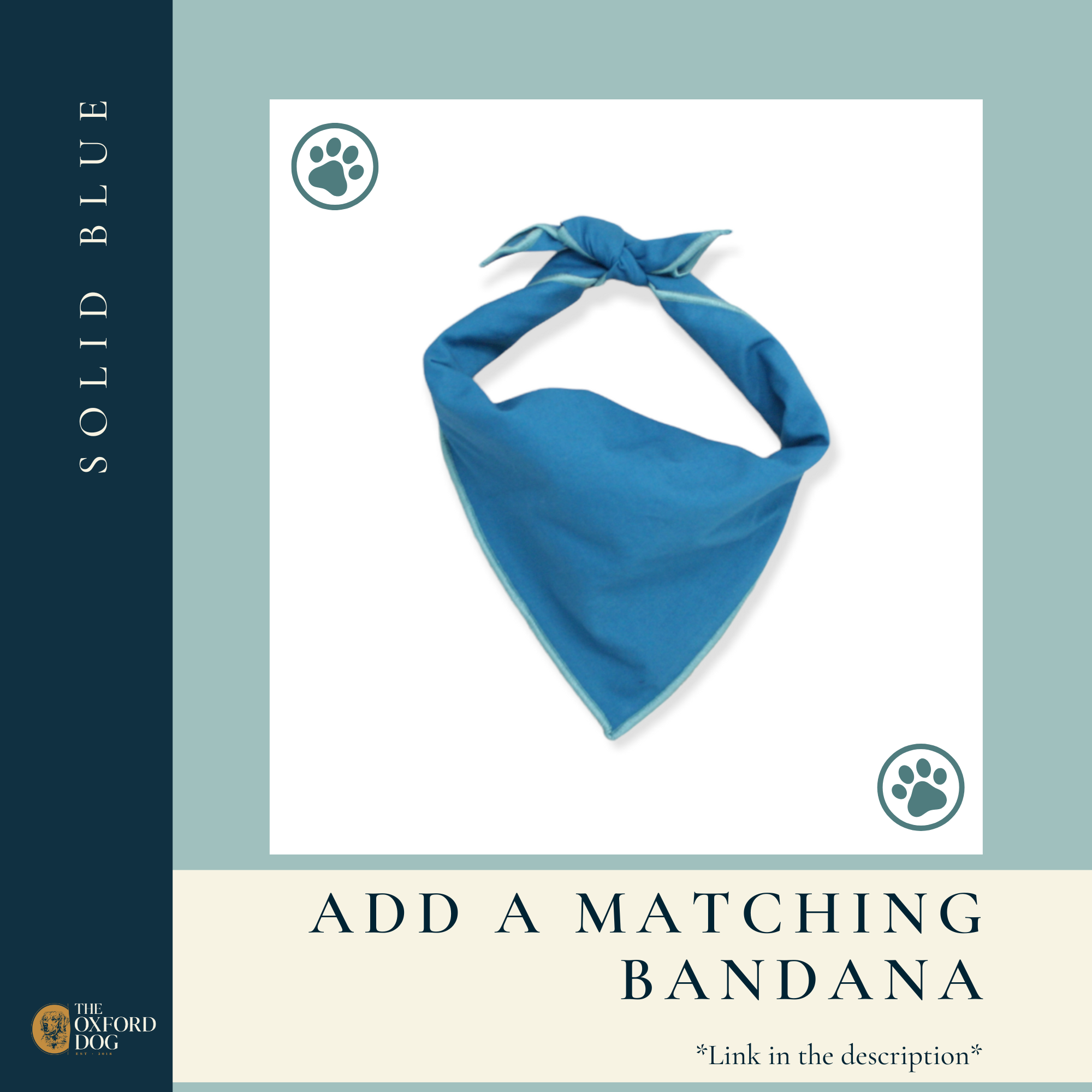 The Oxford Dog - Blue Dog Collar | Boy Dog Collar | Solid Blue | Oxford Dog: Silver / MEDIUM