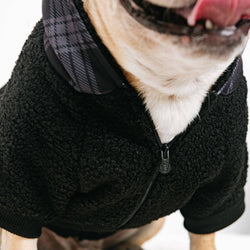 Frenchie - Frenchie Dog Hoodie - Black Plaid: L