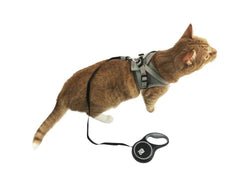 Travel Cat | Your Cat Backpack - "The Captain" Retractable Leash for Cats