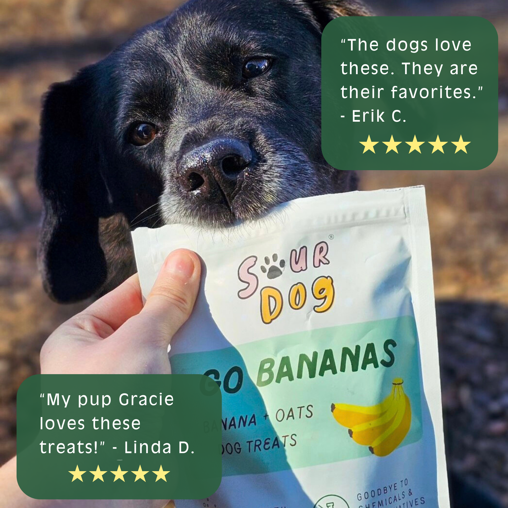SourDog - Go Bananas - Banana Sourdough Dog Treats