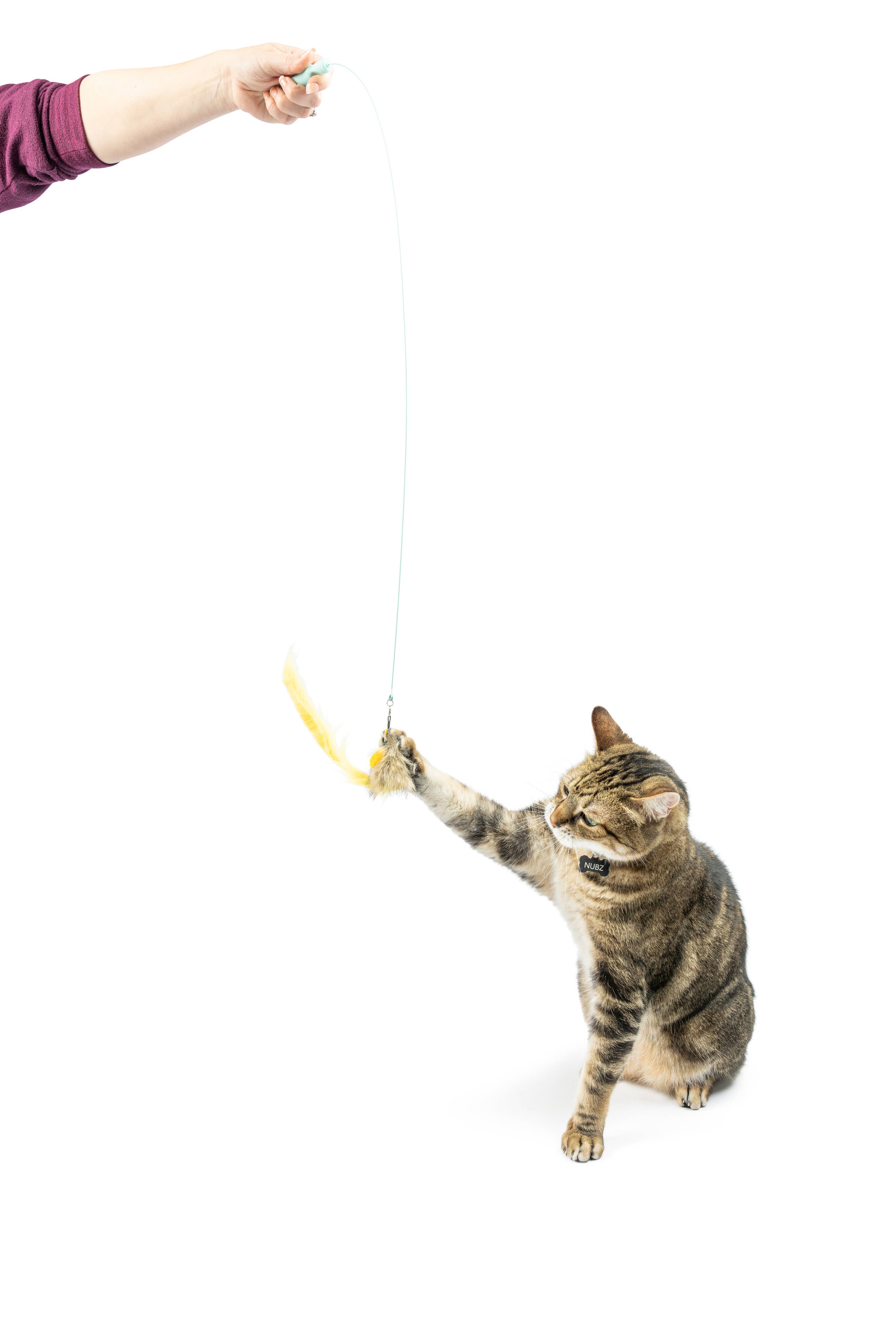 Huxley & Kent - Wire Dragonfly & Mouse Wand Cat Toy: One Size