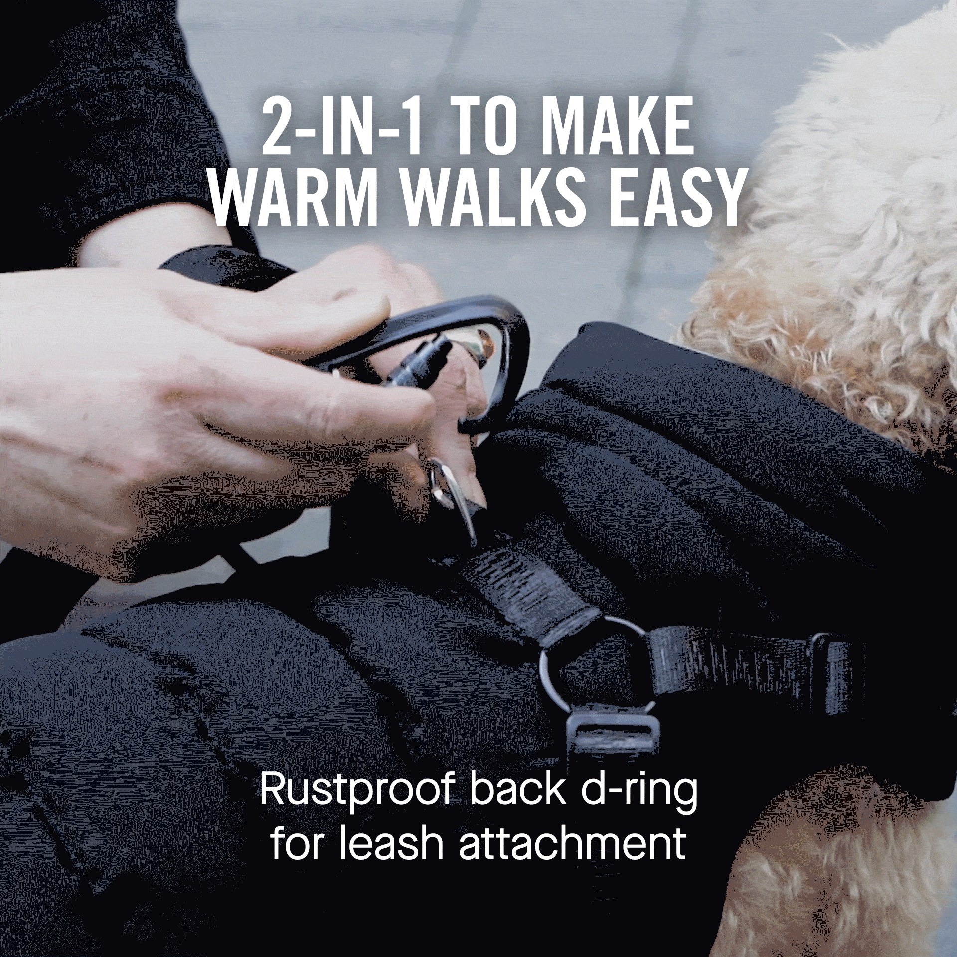 Canada Pooch - Harness Puffer- Dog Coat: Black / 10