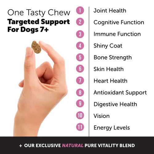 Pet Honesty - Senior Multivitamin Chews (90 Ct.)