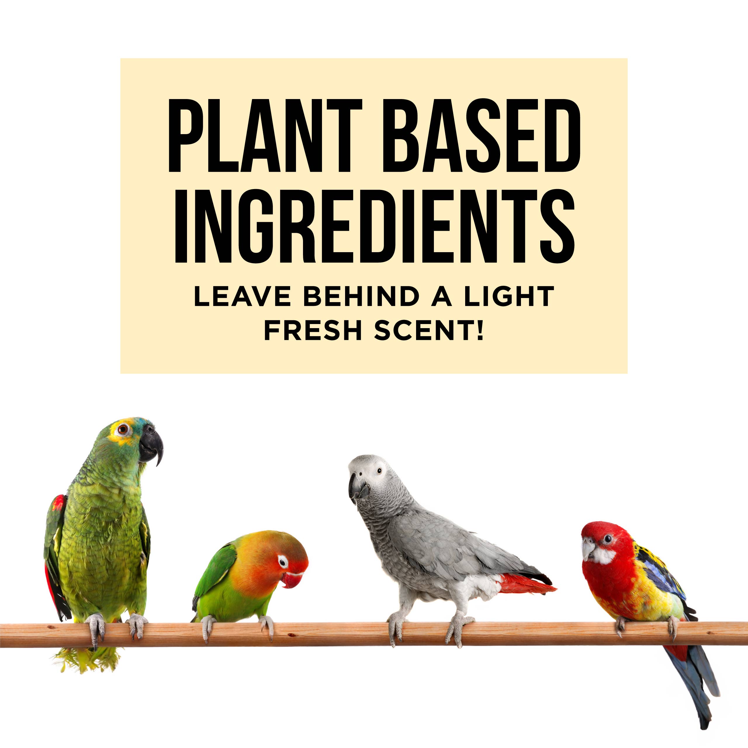 The Only Bird Cage Cleaner You Need