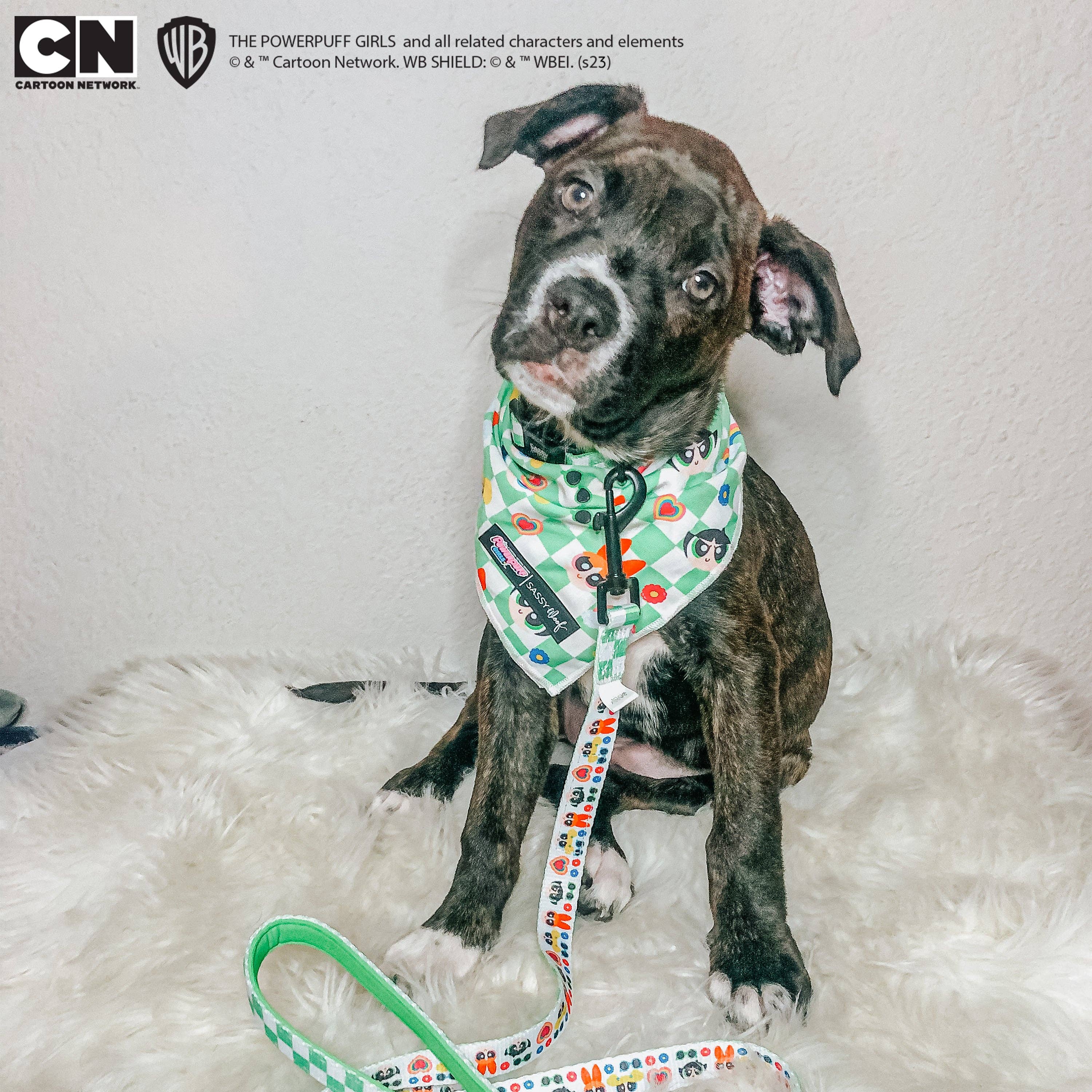 SASSY WOOF - Dog Leash - The Powerpuff Girls™ (Green)