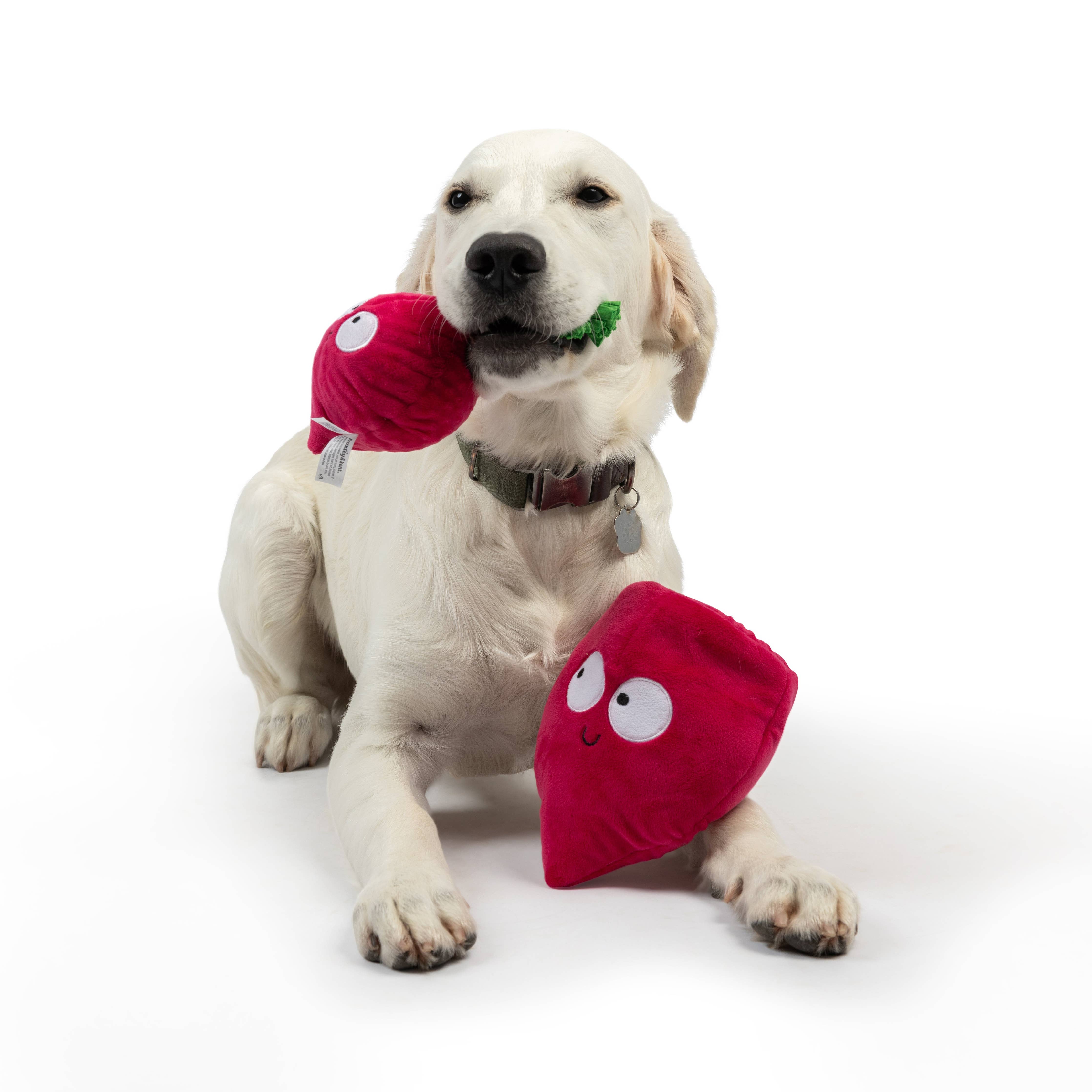 Huxley & Kent - Pop 'n Fetch Beet Dog Toy: Small
