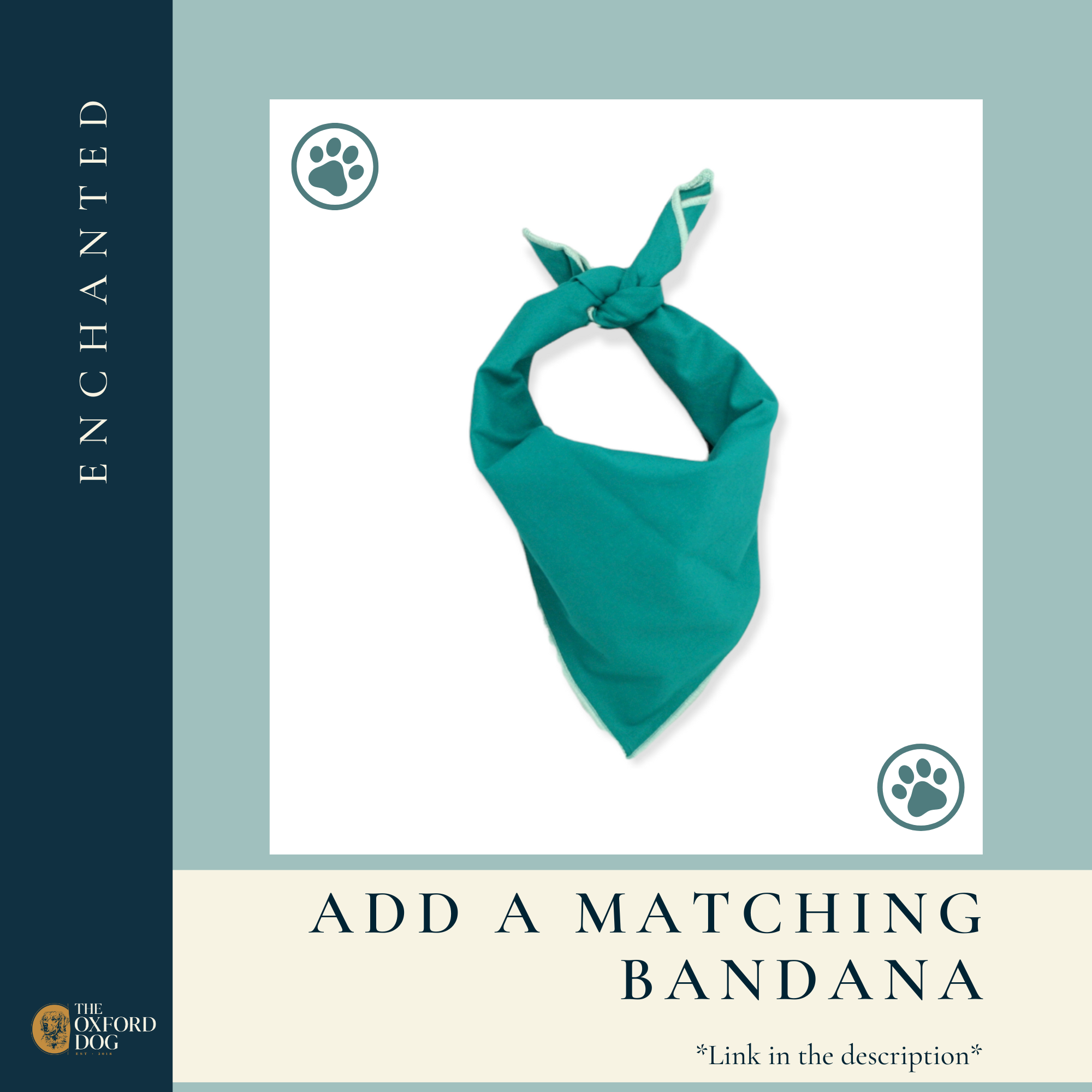 The Oxford Dog - Blue Dog Collar | Boy Dog Collar | Enchanted | Oxford Dog: Silver / MEDIUM