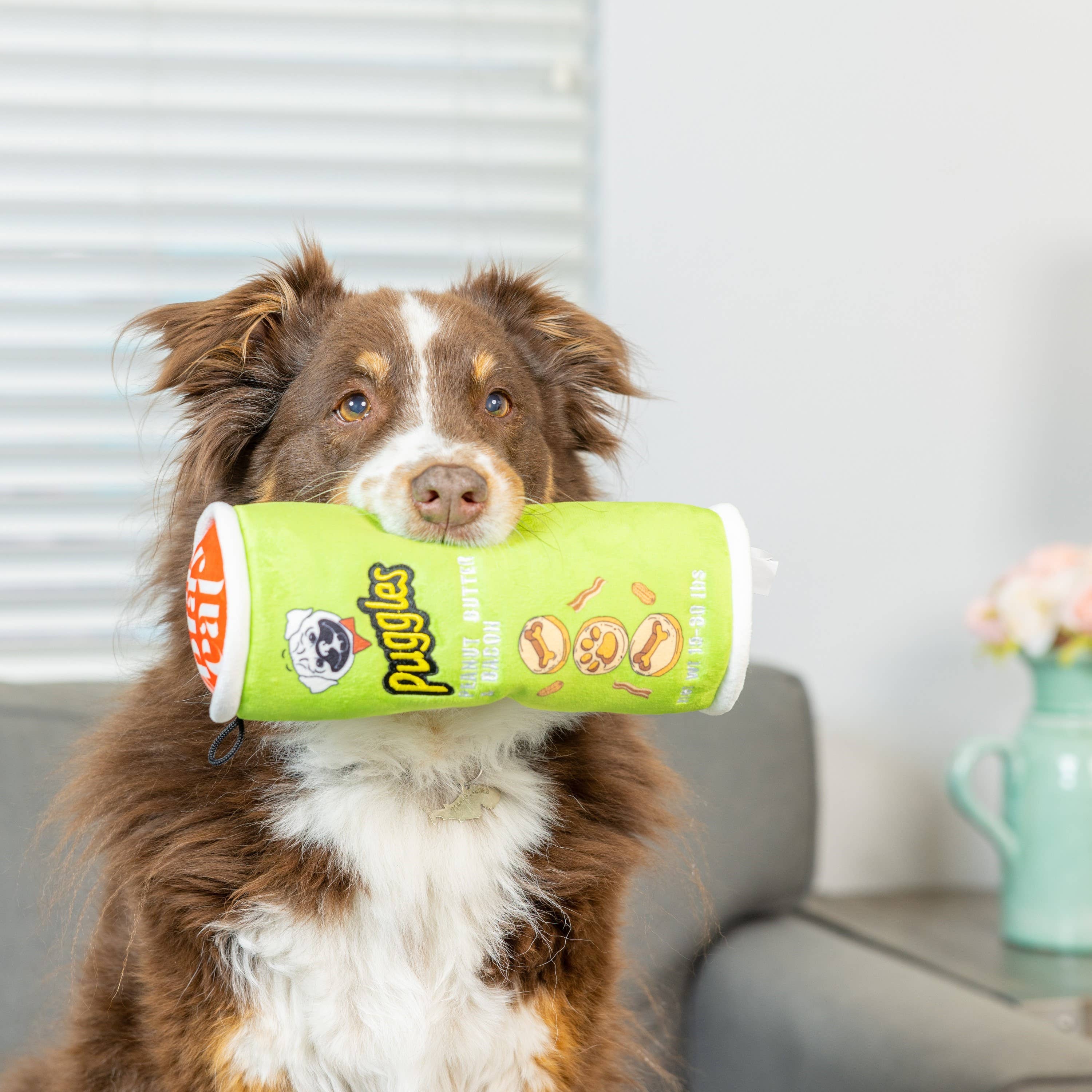 Huxley & Kent - Puggles Can For Dogs: Small