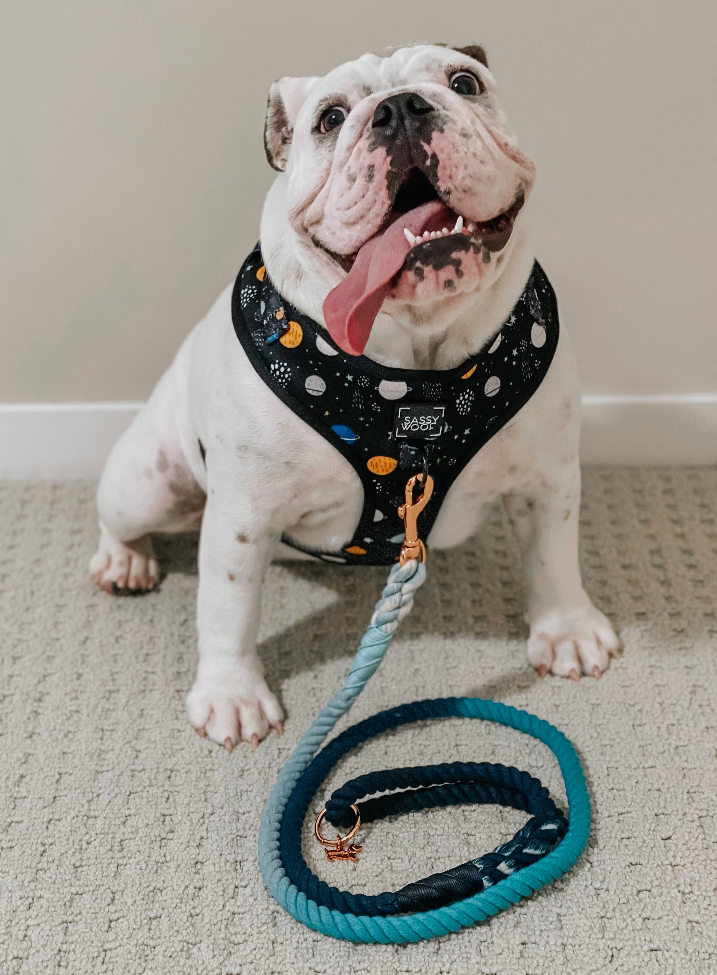 SASSY WOOF - Dog Rope Leash - Romeo