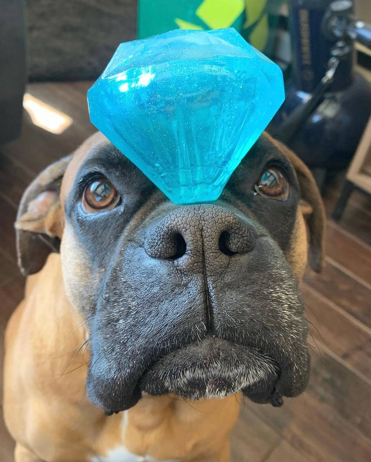 Spunky Pup - Squeaky Gems! - Diamond and Heart Squeakers: Heart